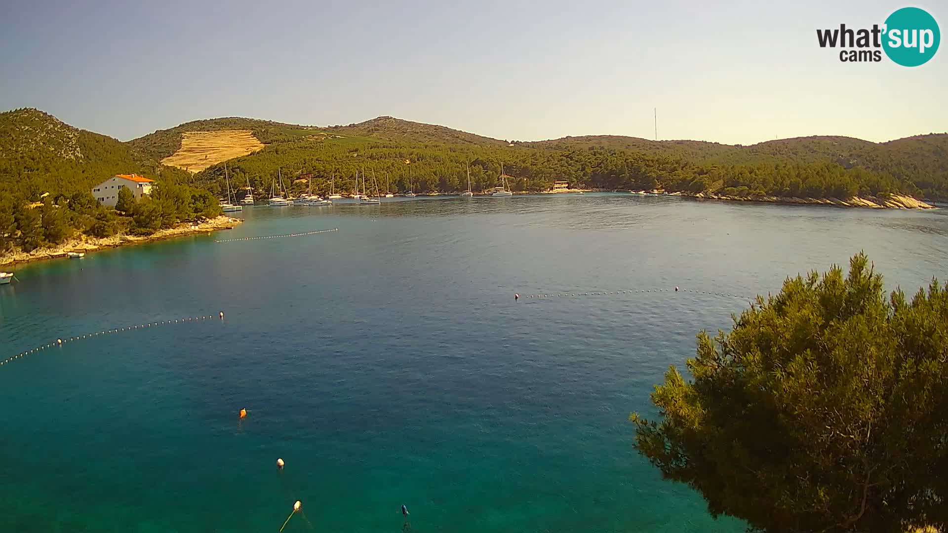 Hvar webcam Vira Strand | Hvar Insel | Dalmatien