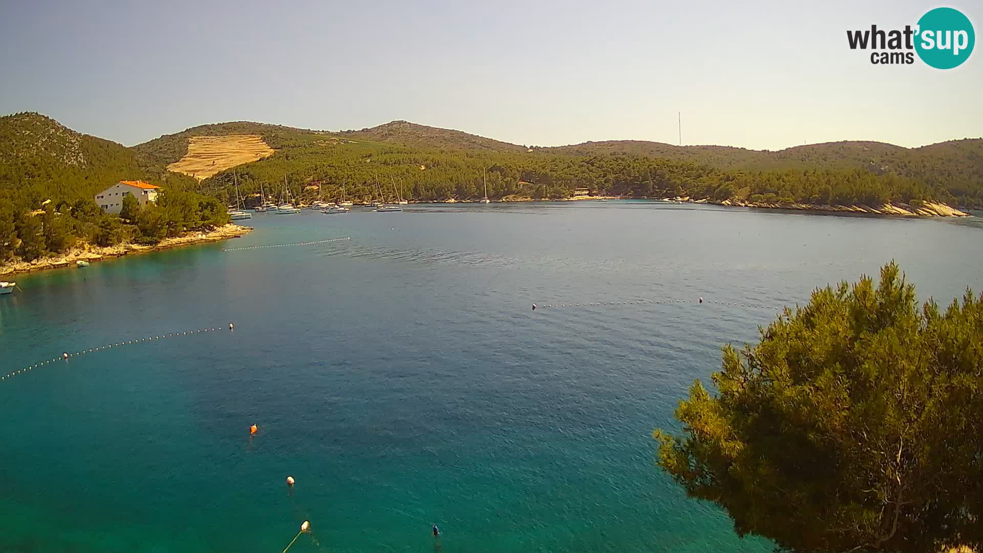 Live cam Hvar Vira plage | Île de Hvar | Dalmatie
