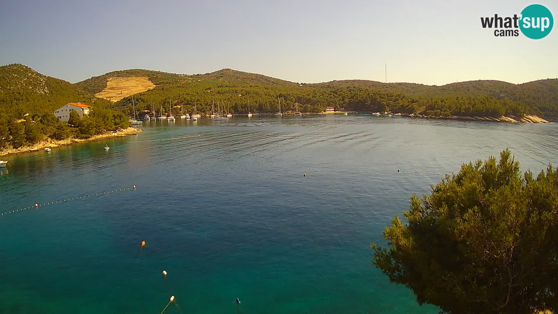 Live cam Hvar Vira plage | Île de Hvar | Dalmatie