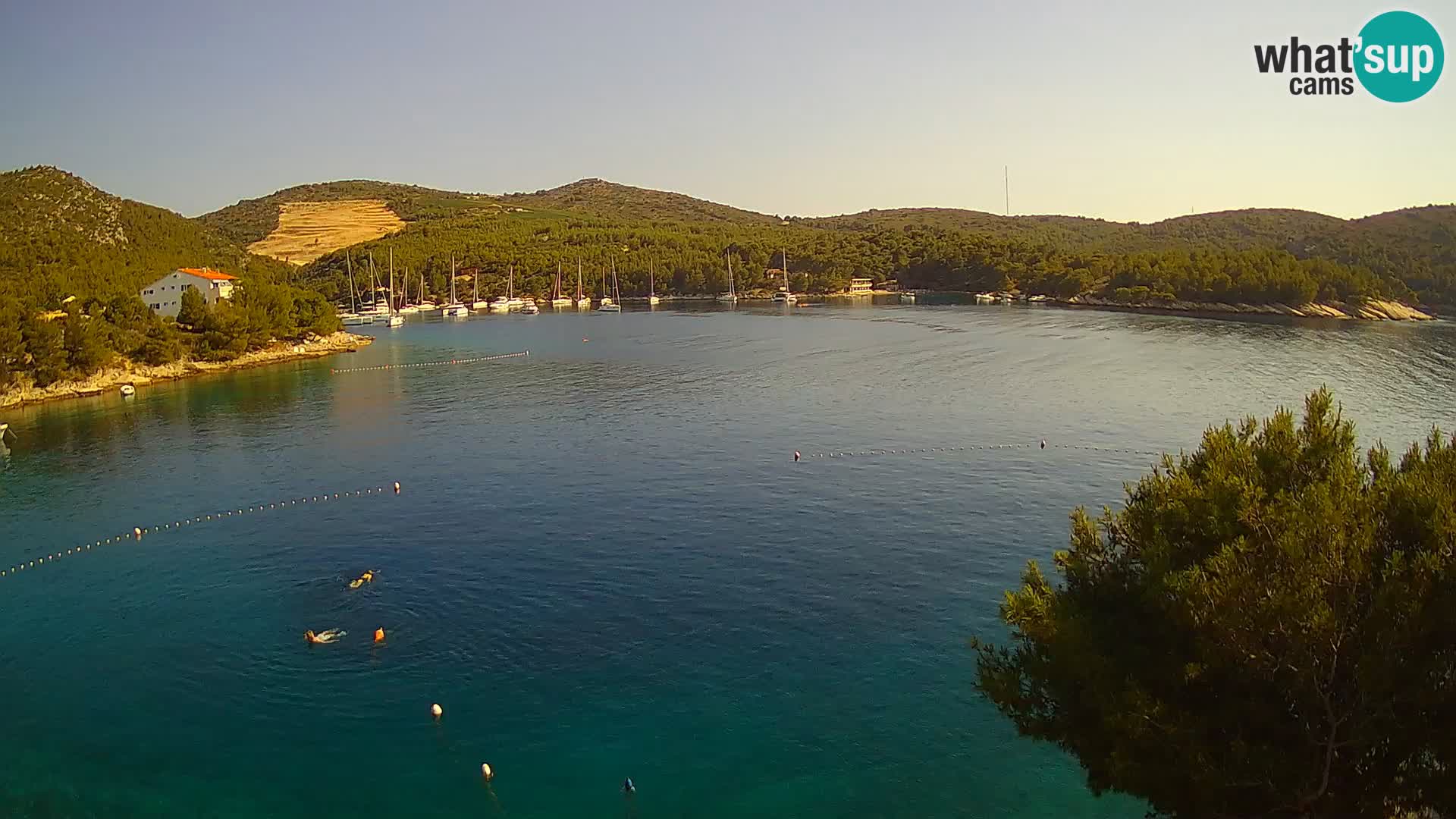 Hvar webcam Vira Strand | Hvar Insel | Dalmatien