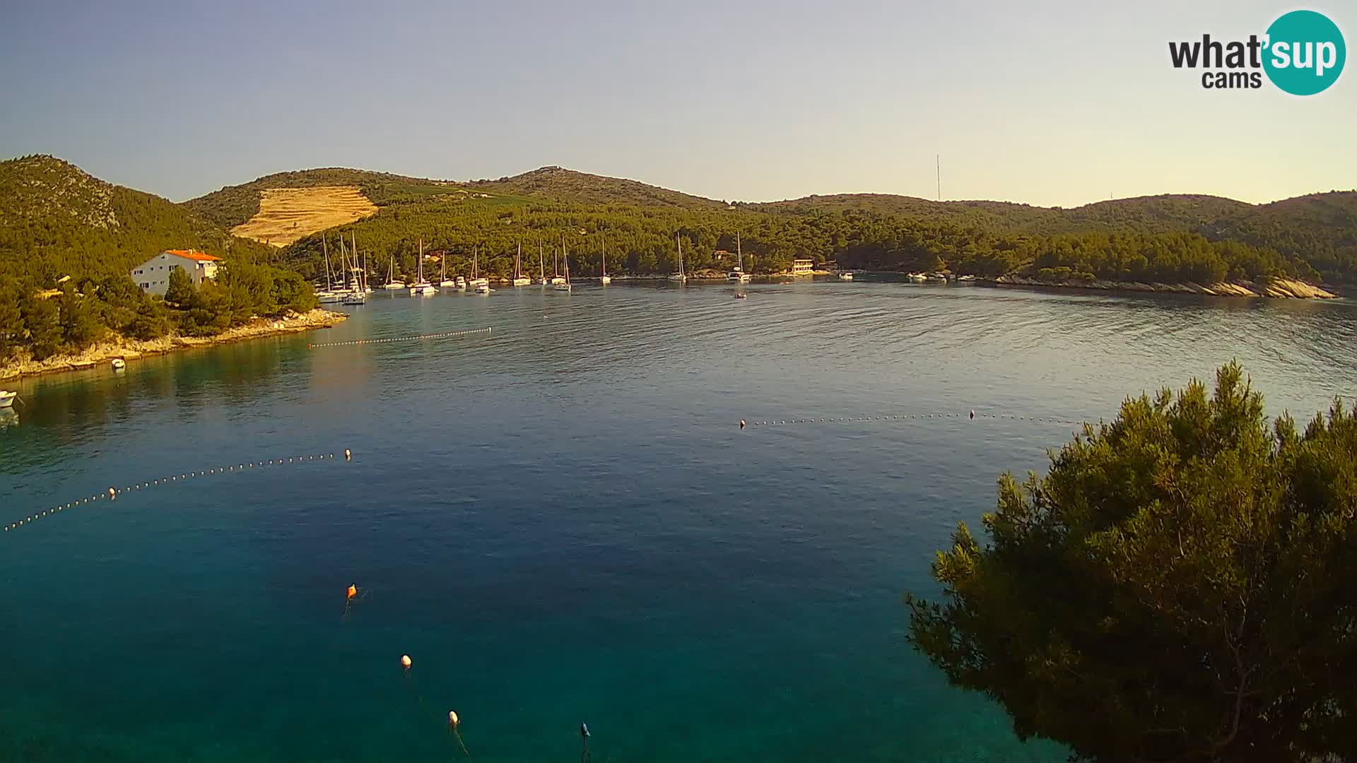 Live cam Hvar Vira plage | Île de Hvar | Dalmatie