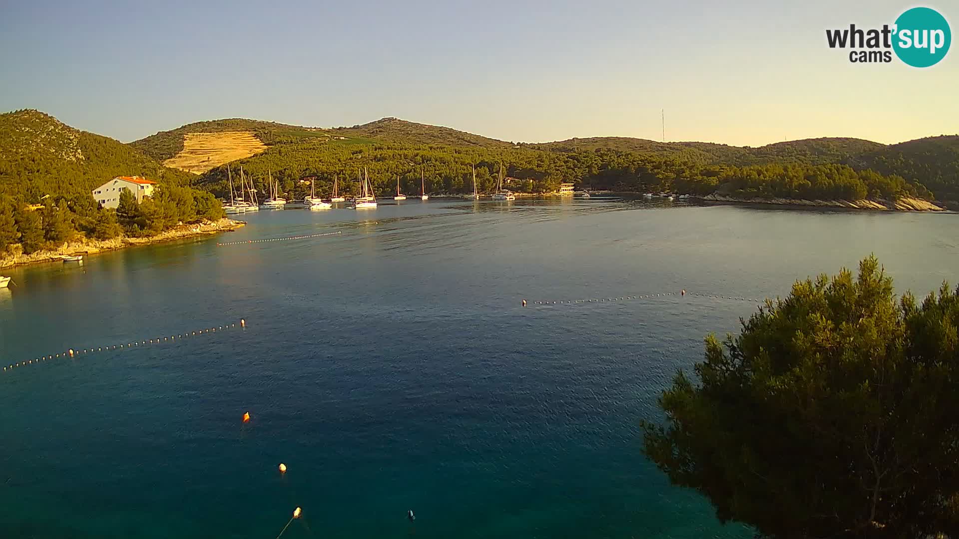 Hvar webcam Vira Strand | Hvar Insel | Dalmatien