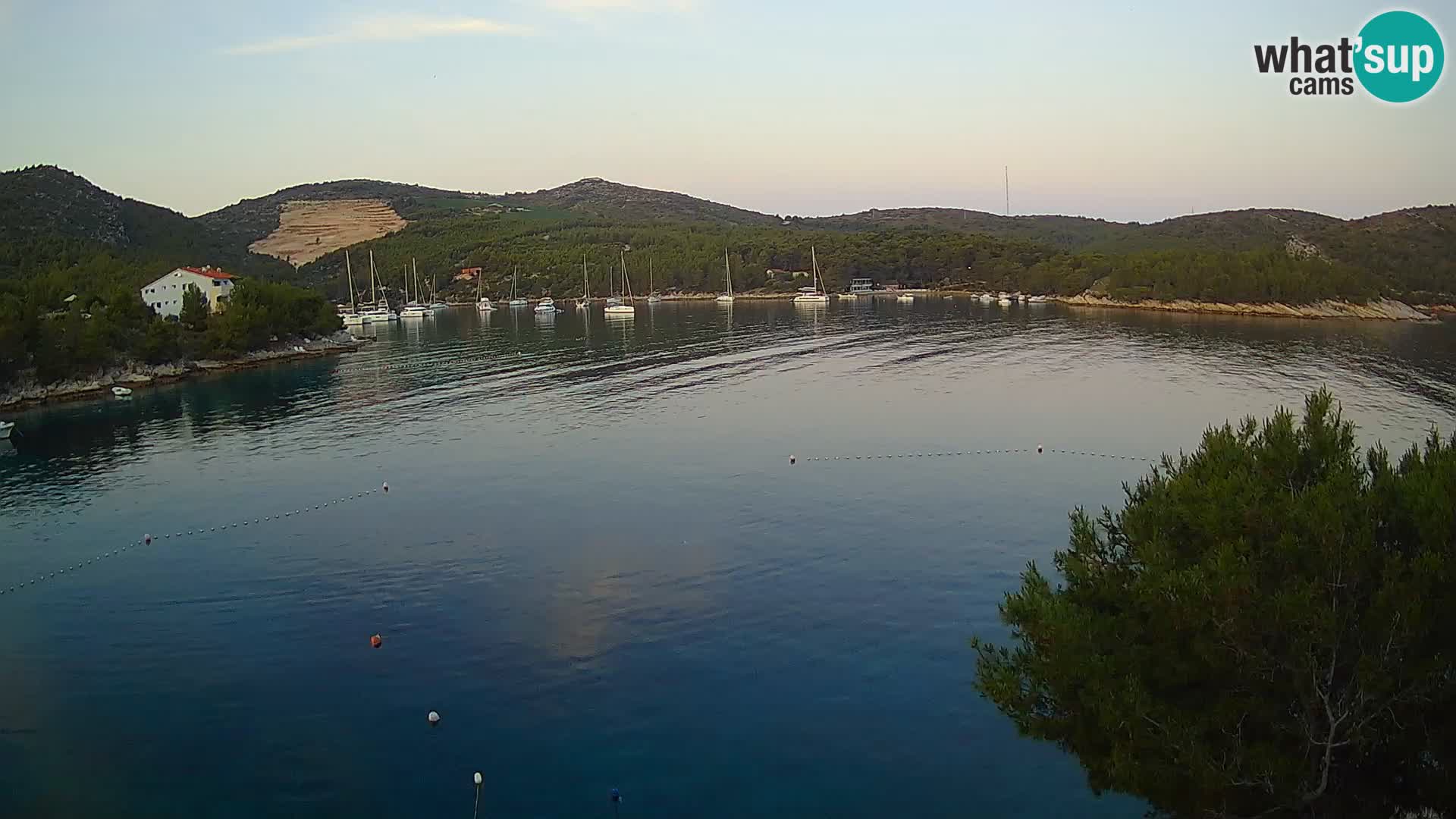Camera Hvar Vira playa | Isla de Hvar | Dalmacia