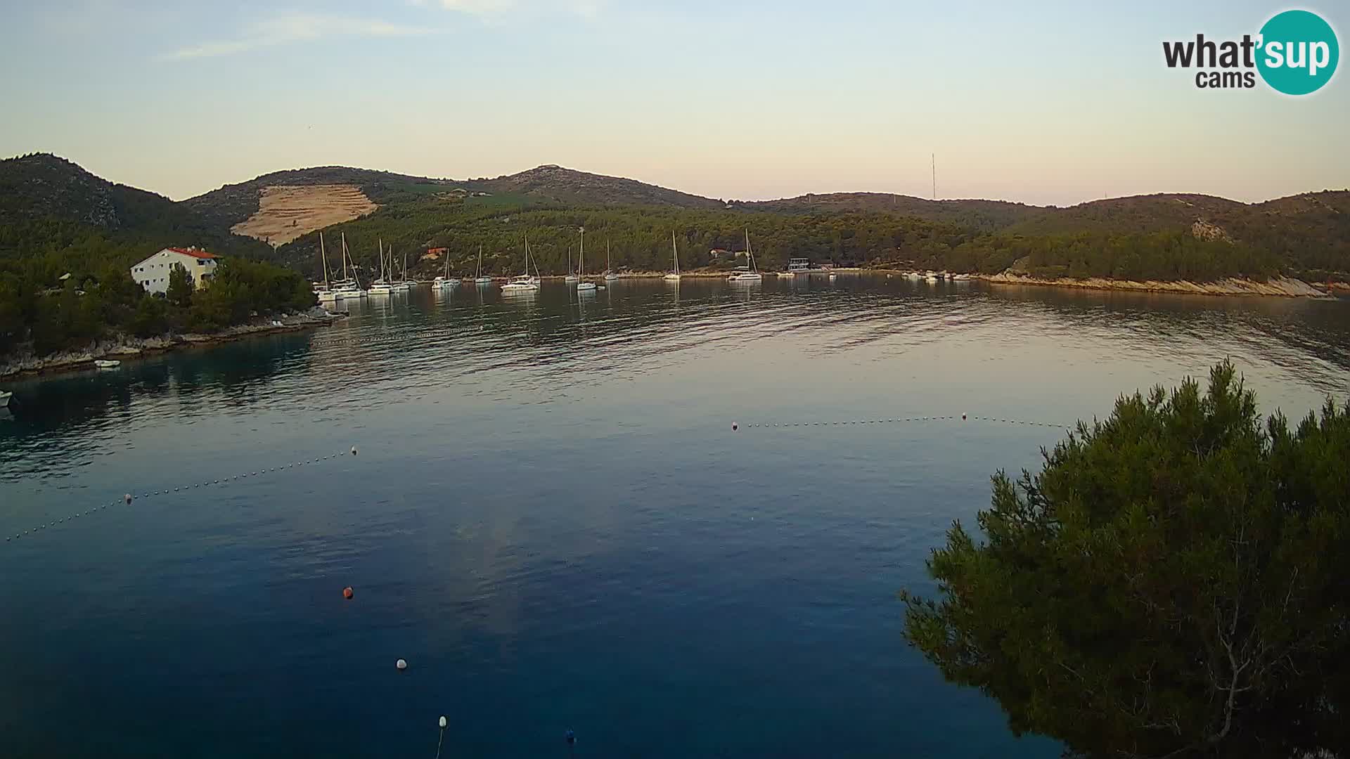 Camera Hvar Vira playa | Isla de Hvar | Dalmacia