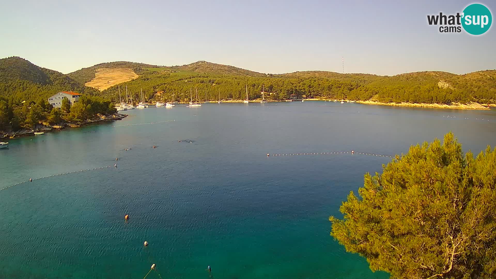 Web kamera Hvar Vira plaža | otok Hvar | Dalmacija