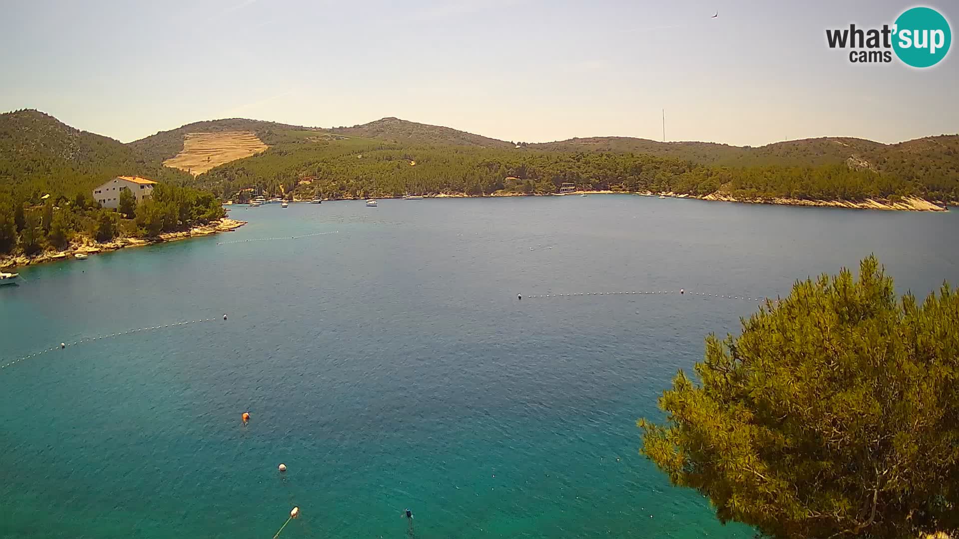Camera Hvar Vira playa | Isla de Hvar | Dalmacia
