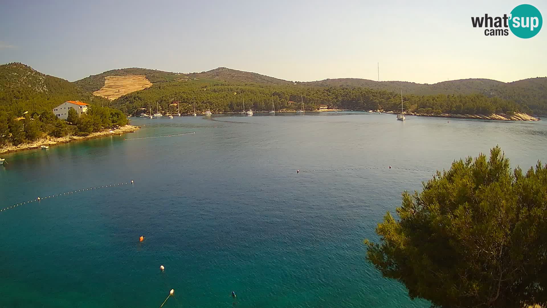 Camera Hvar Vira playa | Isla de Hvar | Dalmacia