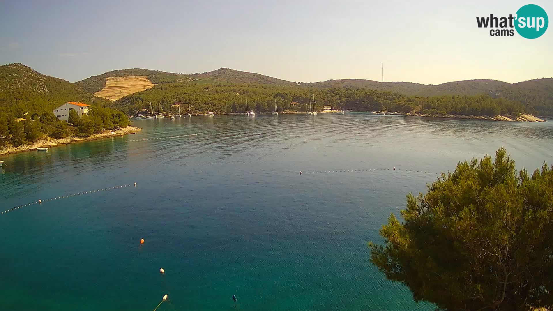 Camera Hvar Vira playa | Isla de Hvar | Dalmacia