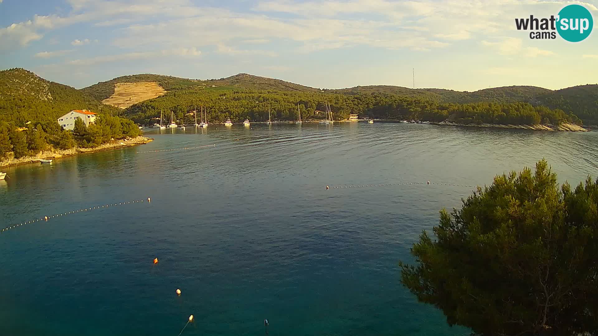 Hvar webcam Vira Strand | Hvar Insel | Dalmatien