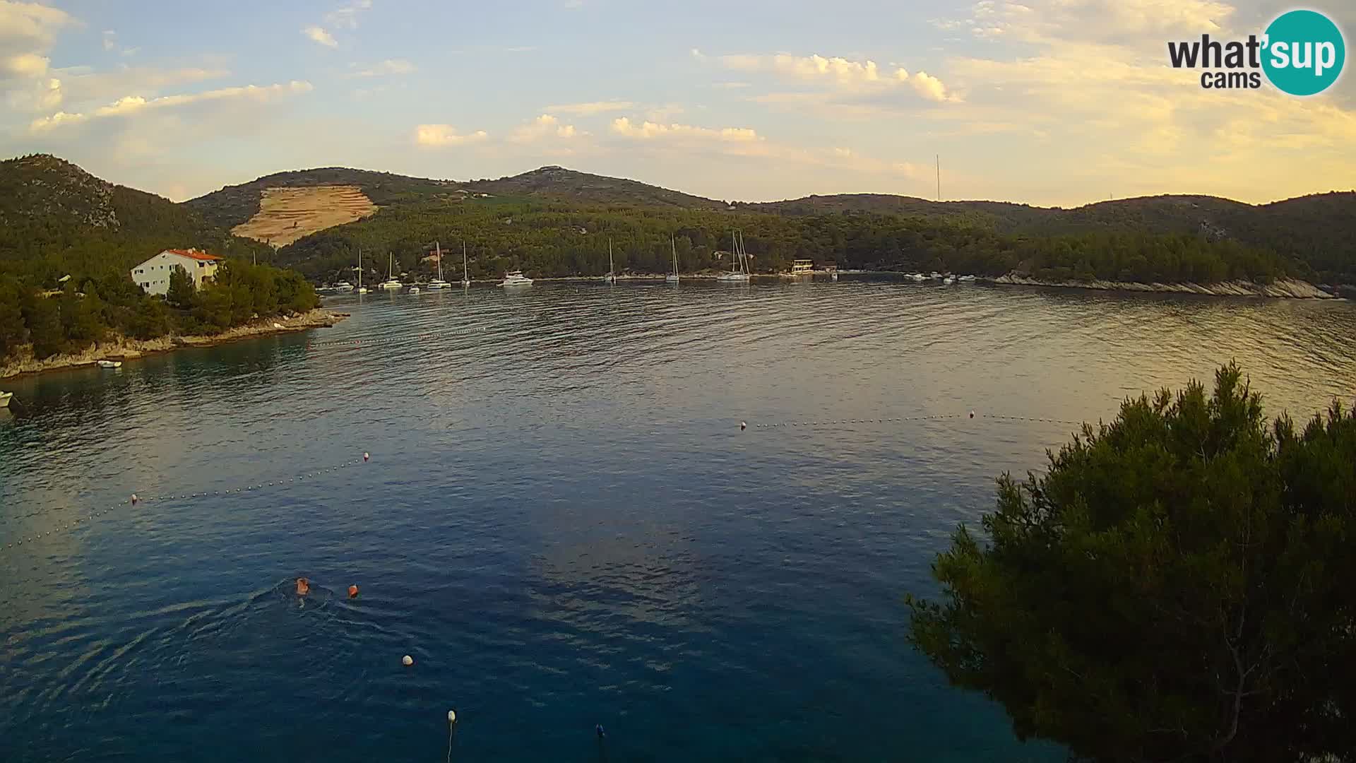 Hvar webcam Vira Strand | Hvar Insel | Dalmatien
