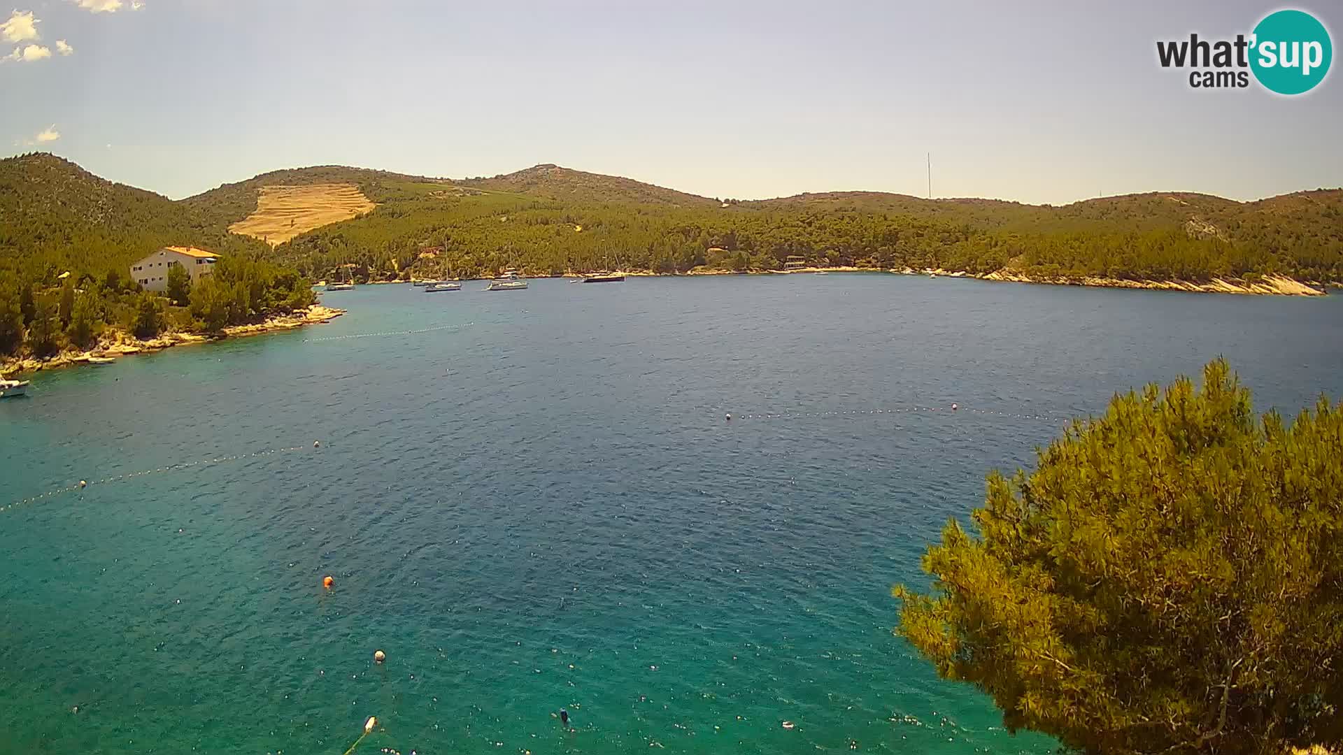 Camera Hvar Vira playa | Isla de Hvar | Dalmacia