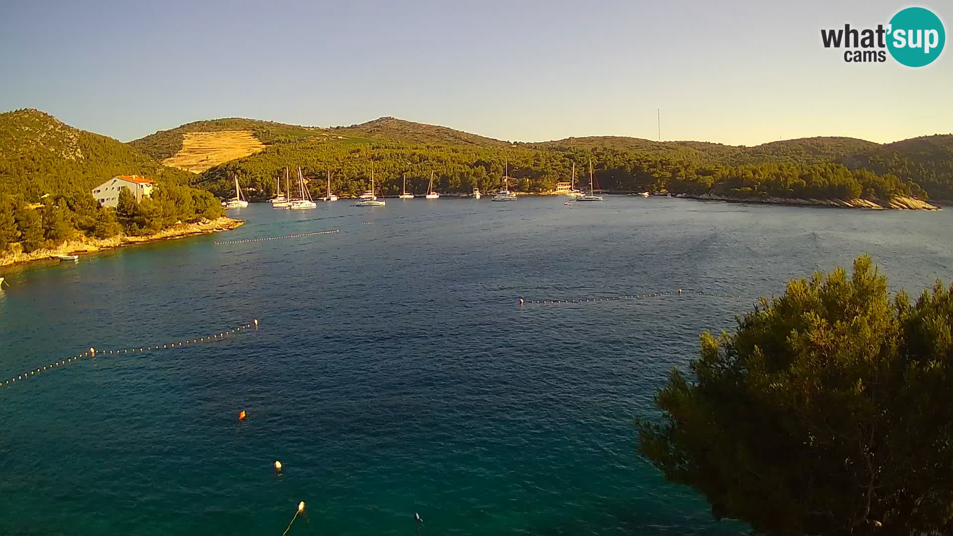 Live cam Hvar Vira plage | Île de Hvar | Dalmatie