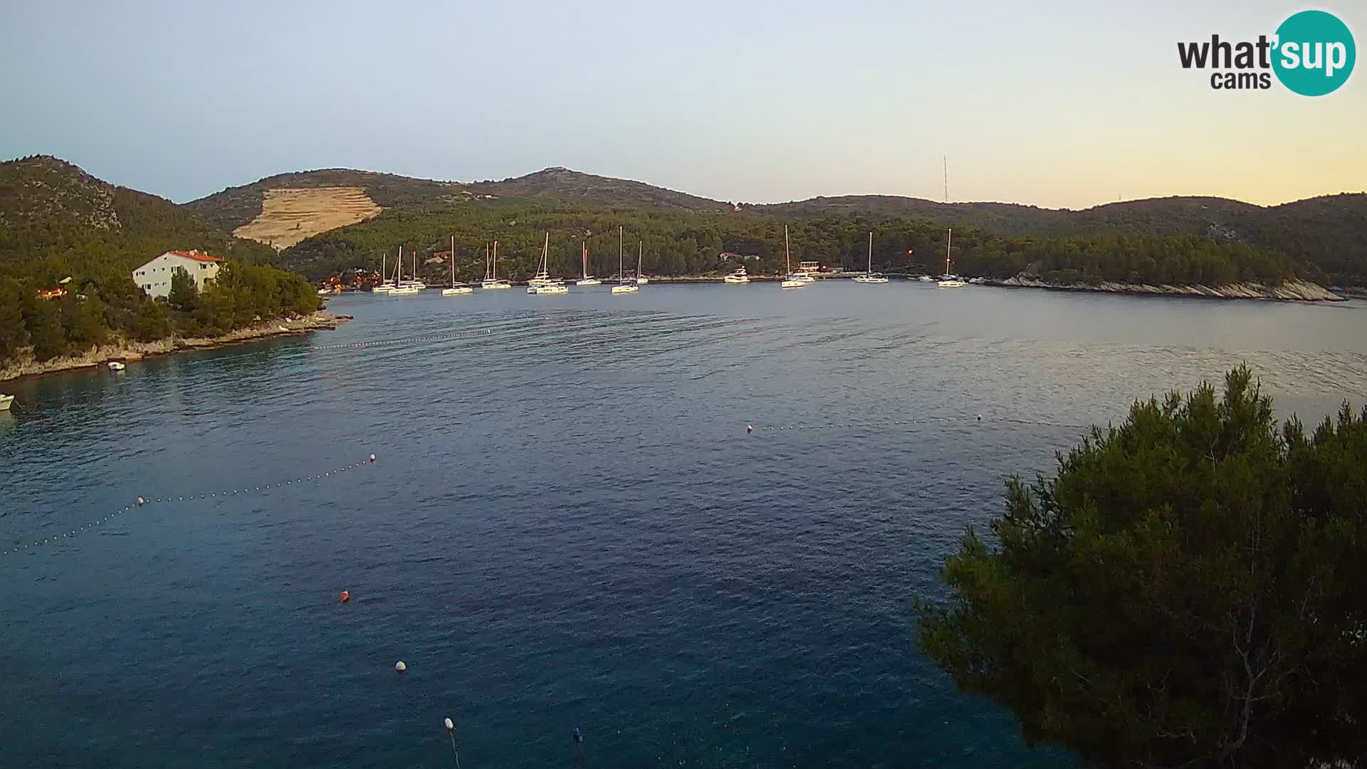 Camera Hvar Vira playa | Isla de Hvar | Dalmacia