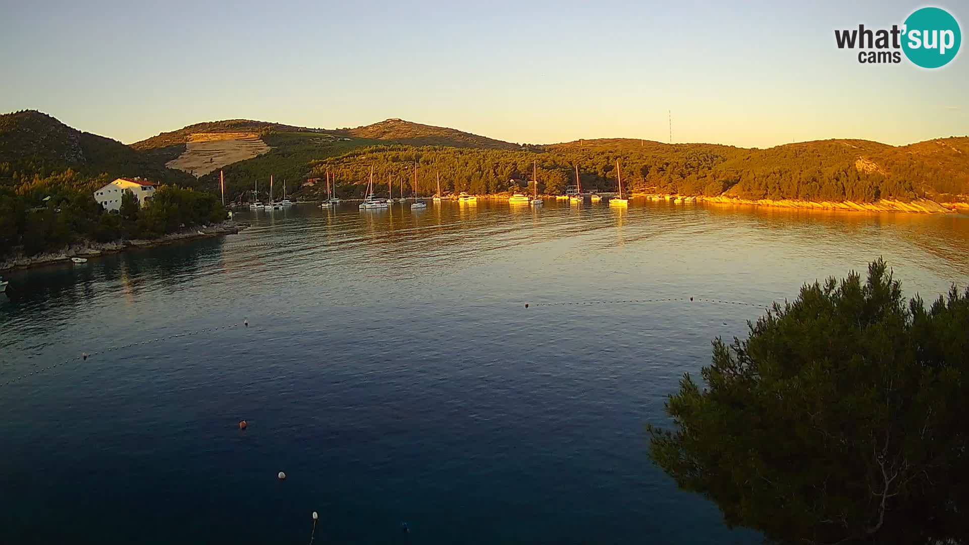Camera Hvar Vira playa | Isla de Hvar | Dalmacia