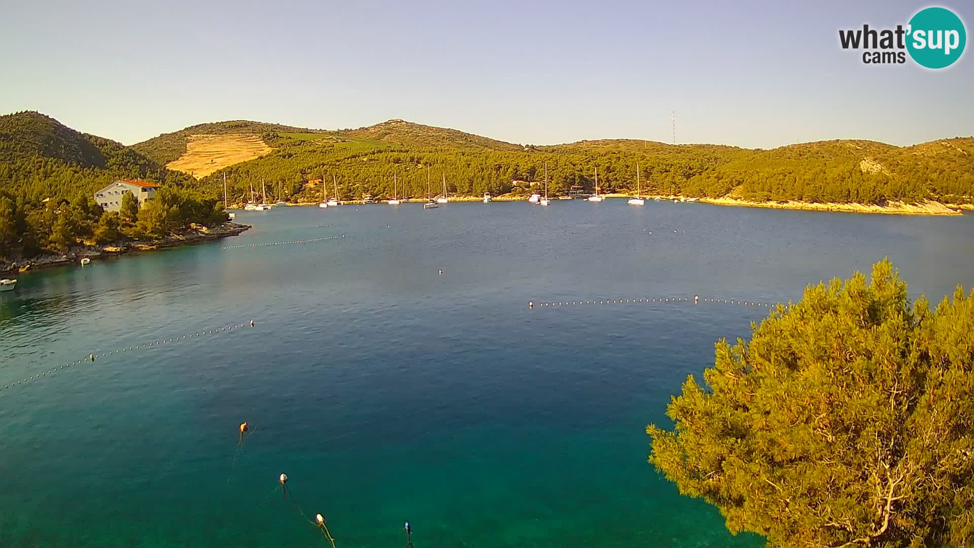 Webcam Hvar Vira beach | Hvar island | Dalmatia