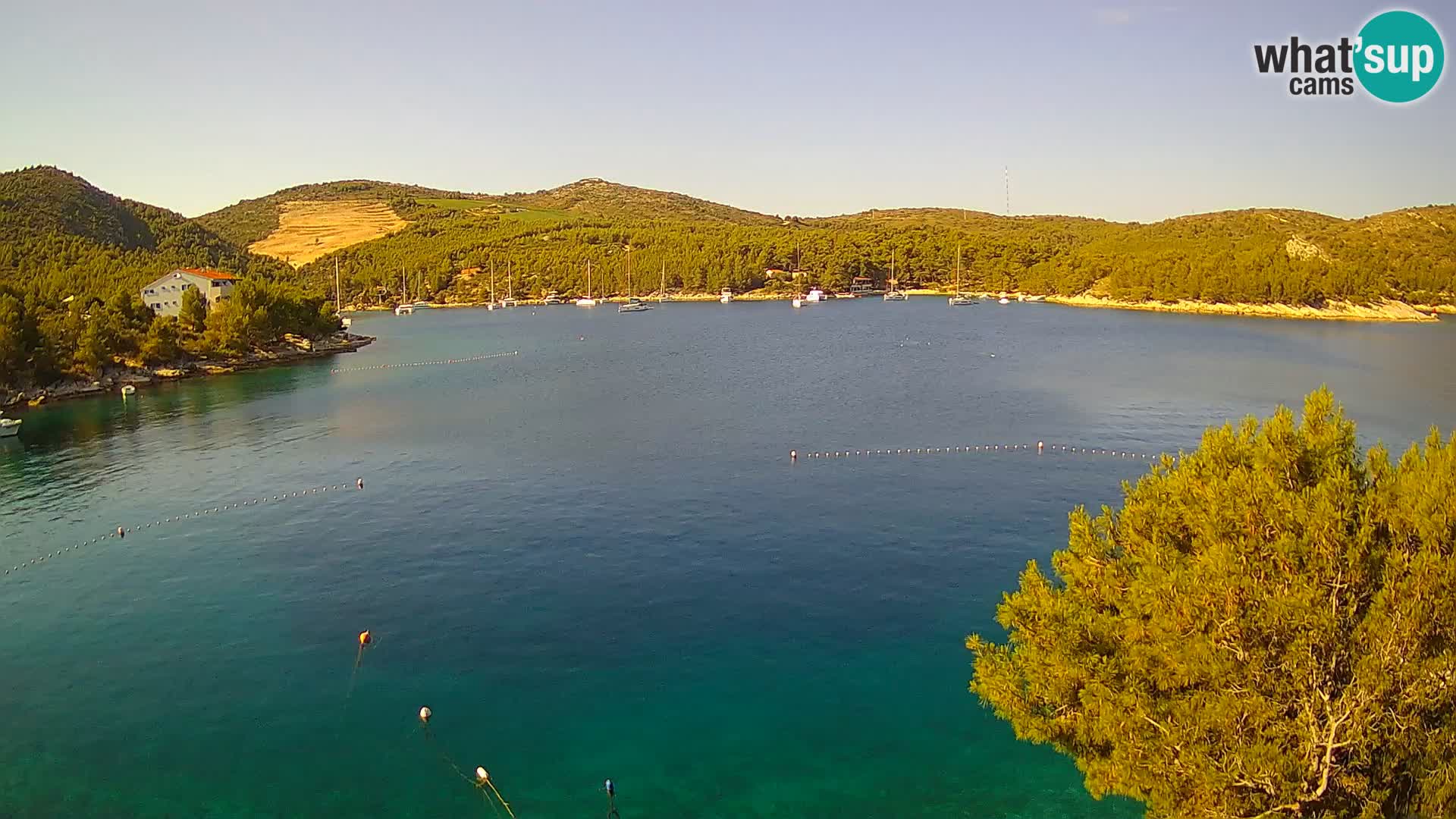 Hvar webcam Vira Strand | Hvar Insel | Dalmatien