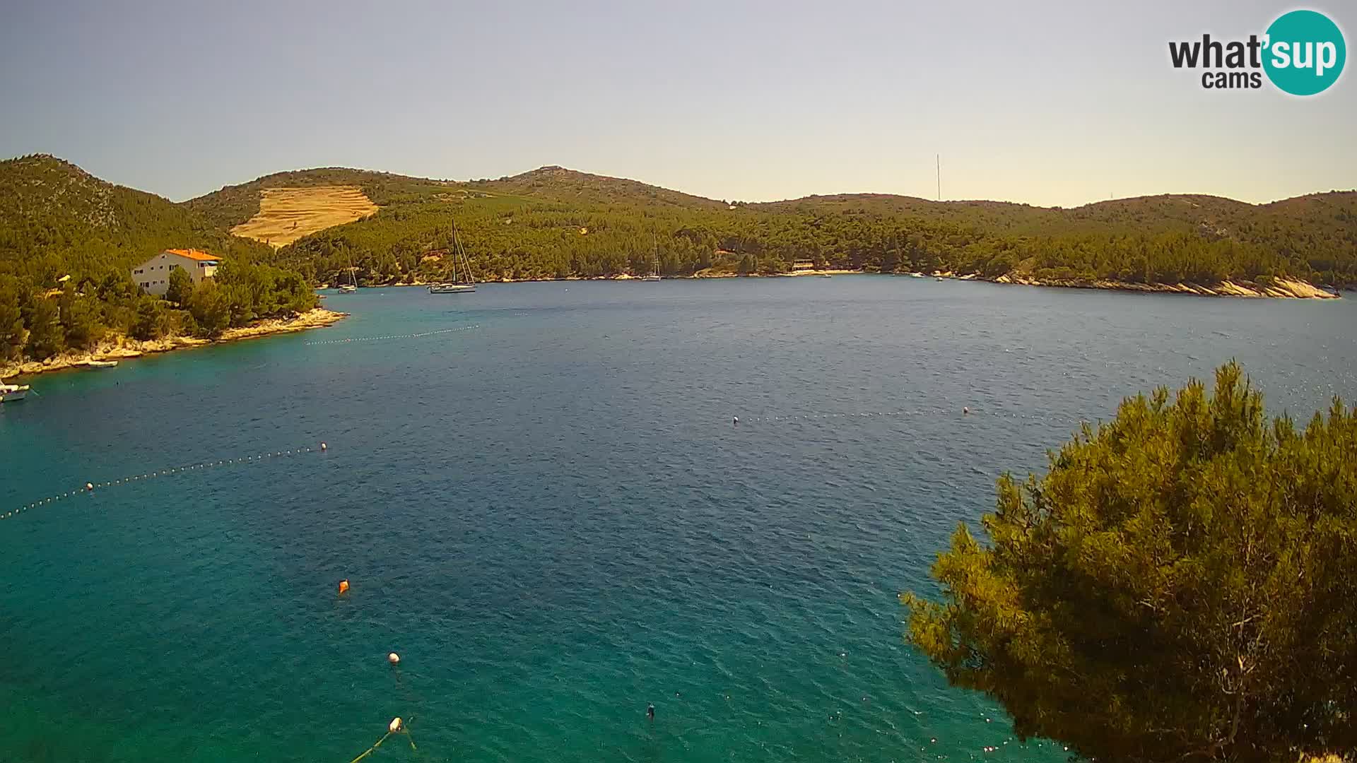 Hvar webcam Vira Strand | Hvar Insel | Dalmatien