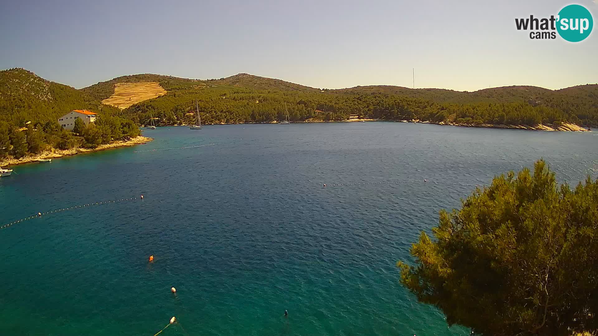 Hvar webcam Vira Strand | Hvar Insel | Dalmatien