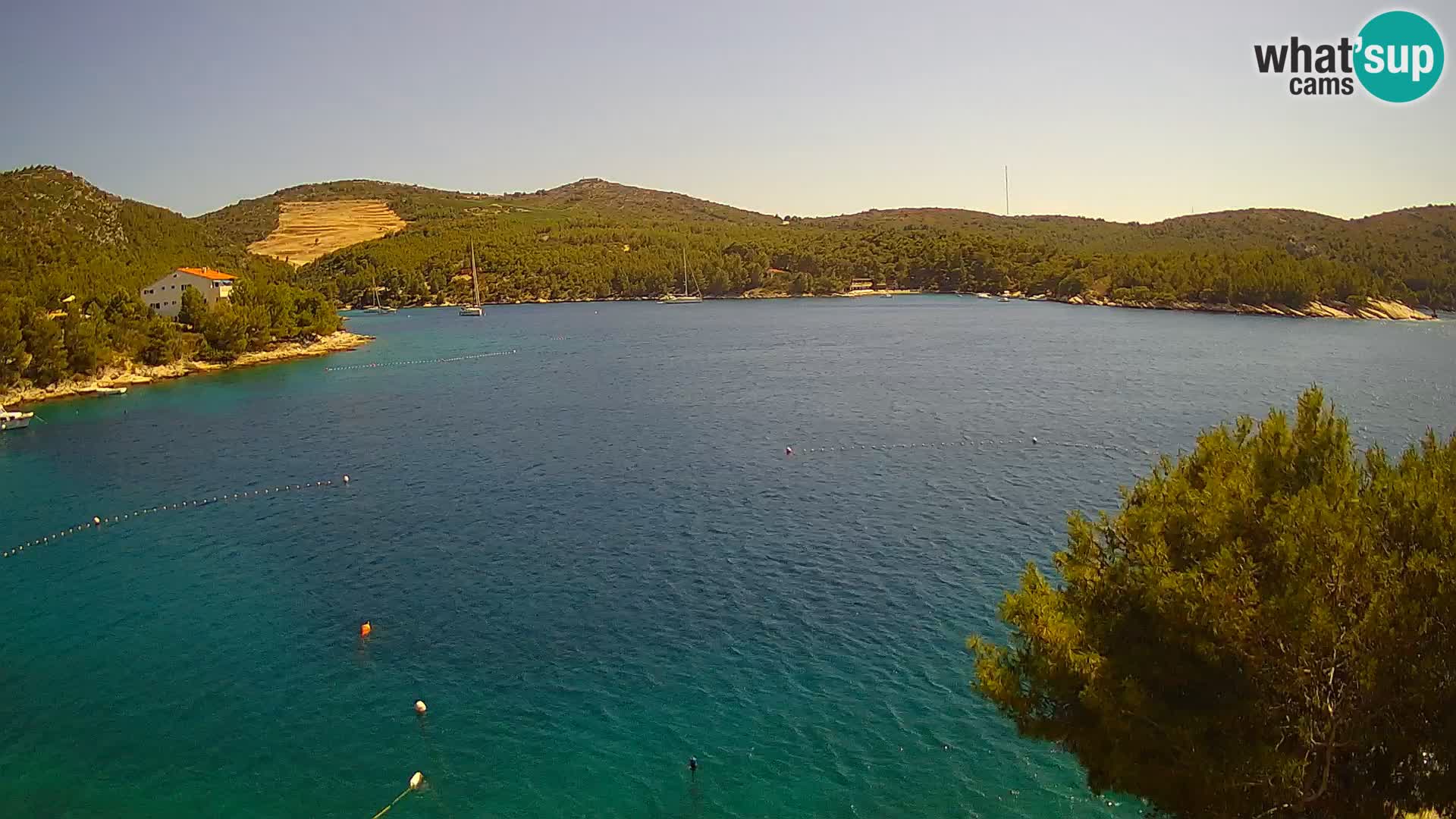 Camera Hvar Vira playa | Isla de Hvar | Dalmacia