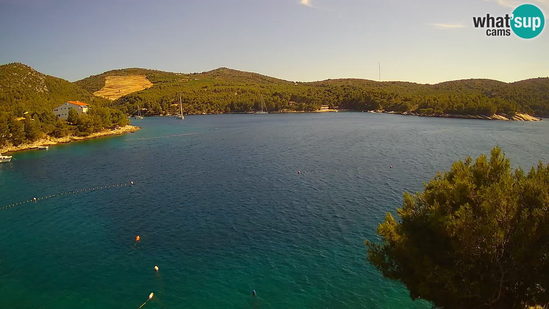 Camera Hvar Vira playa | Isla de Hvar | Dalmacia