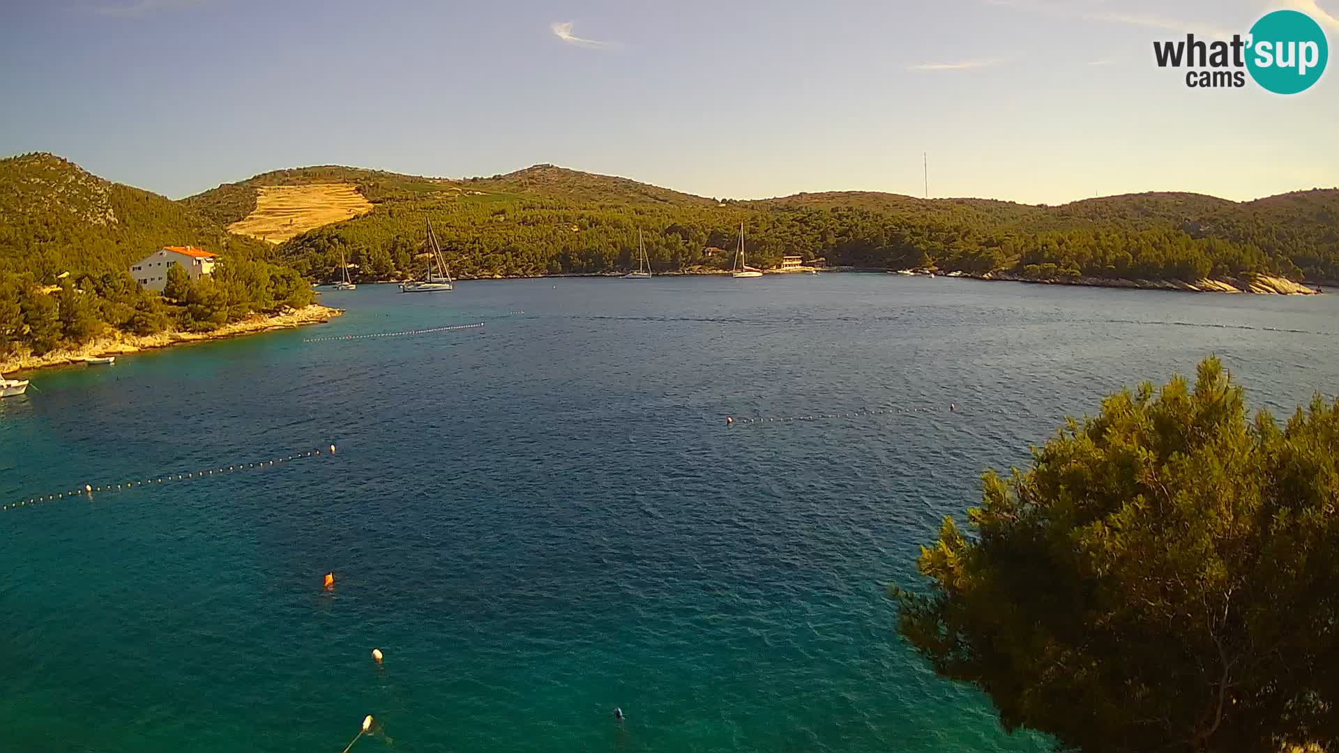 Hvar webcam Vira Strand | Hvar Insel | Dalmatien