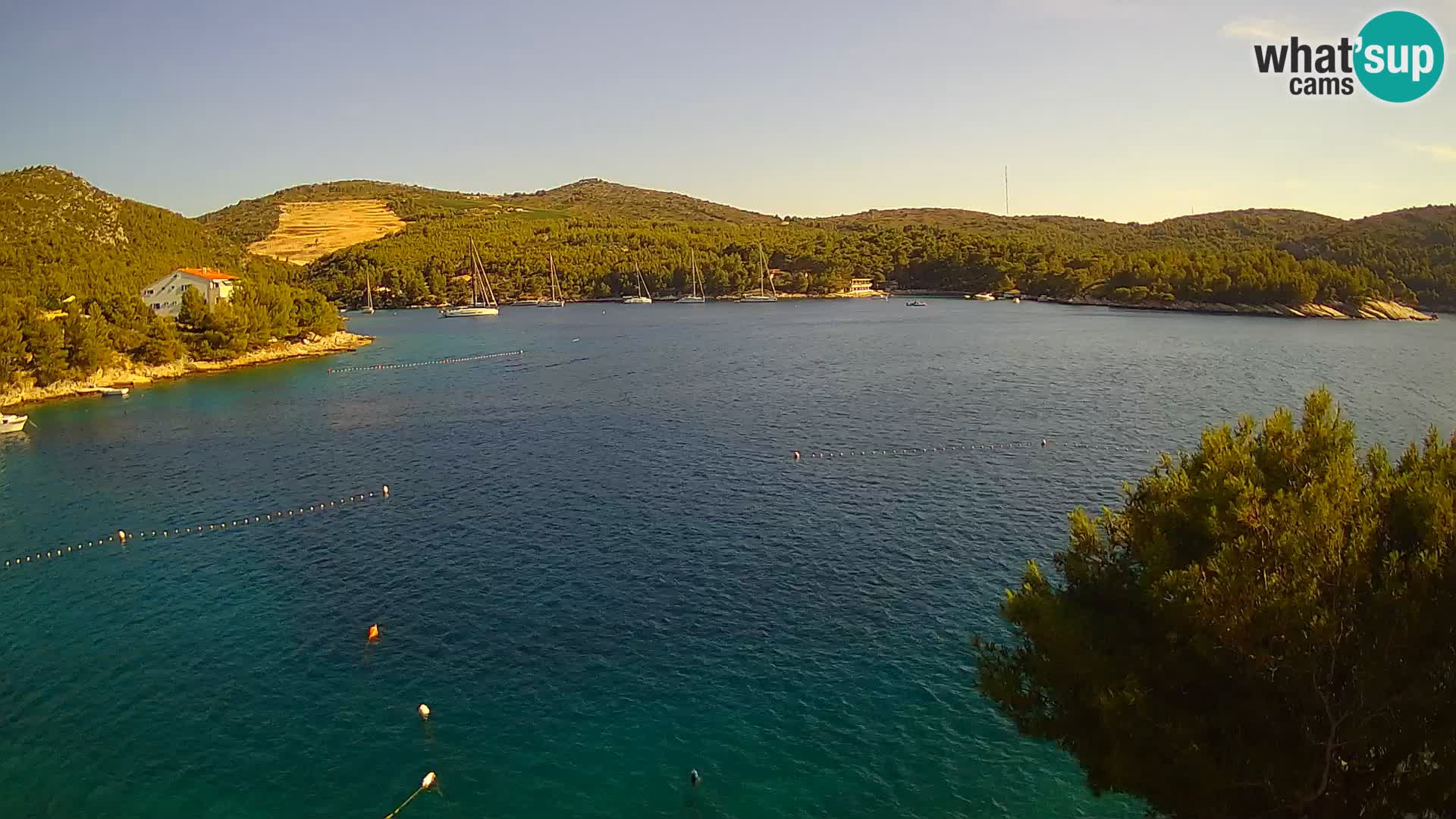 Camera Hvar Vira playa | Isla de Hvar | Dalmacia