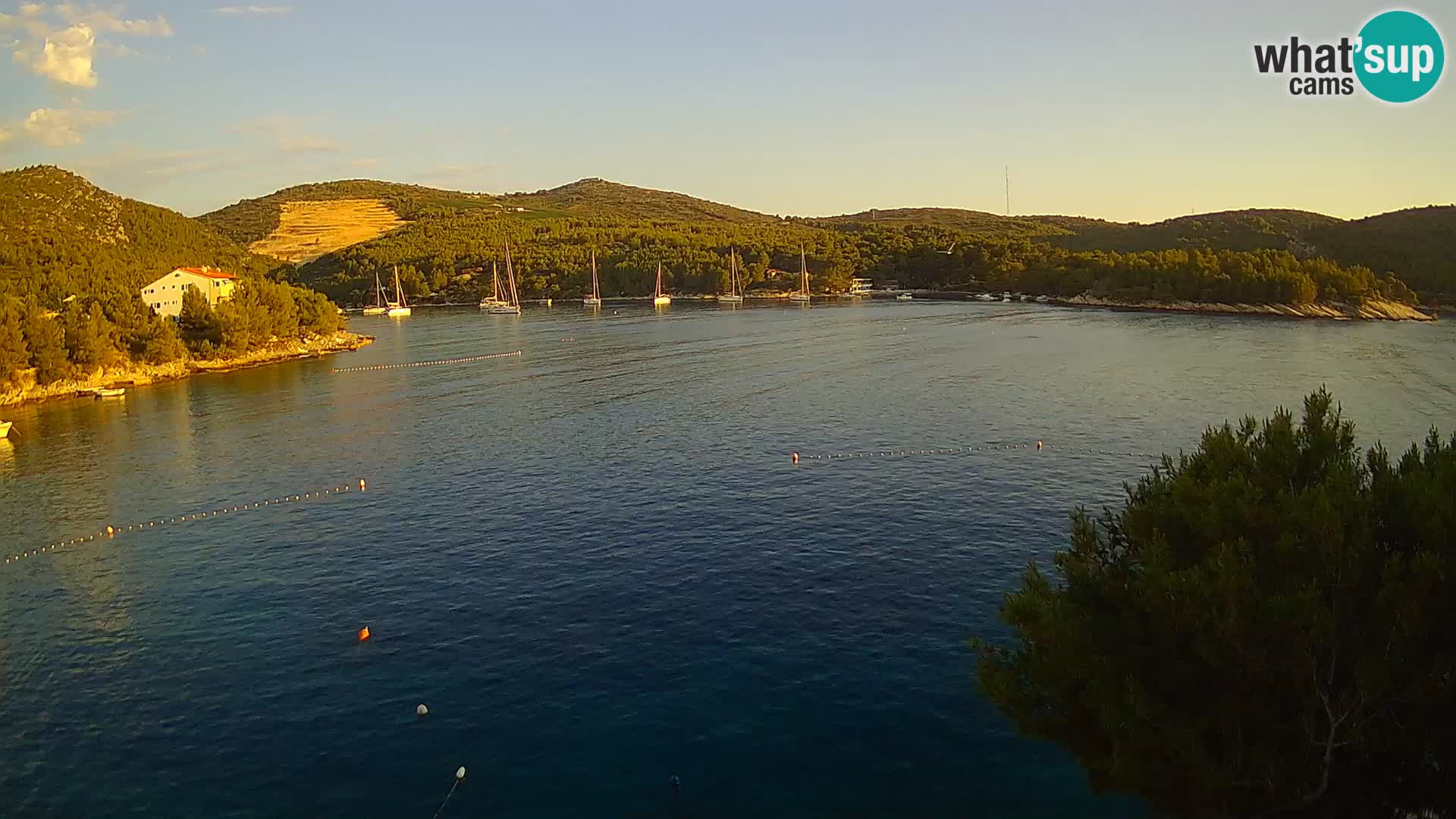 Camera Hvar Vira playa | Isla de Hvar | Dalmacia