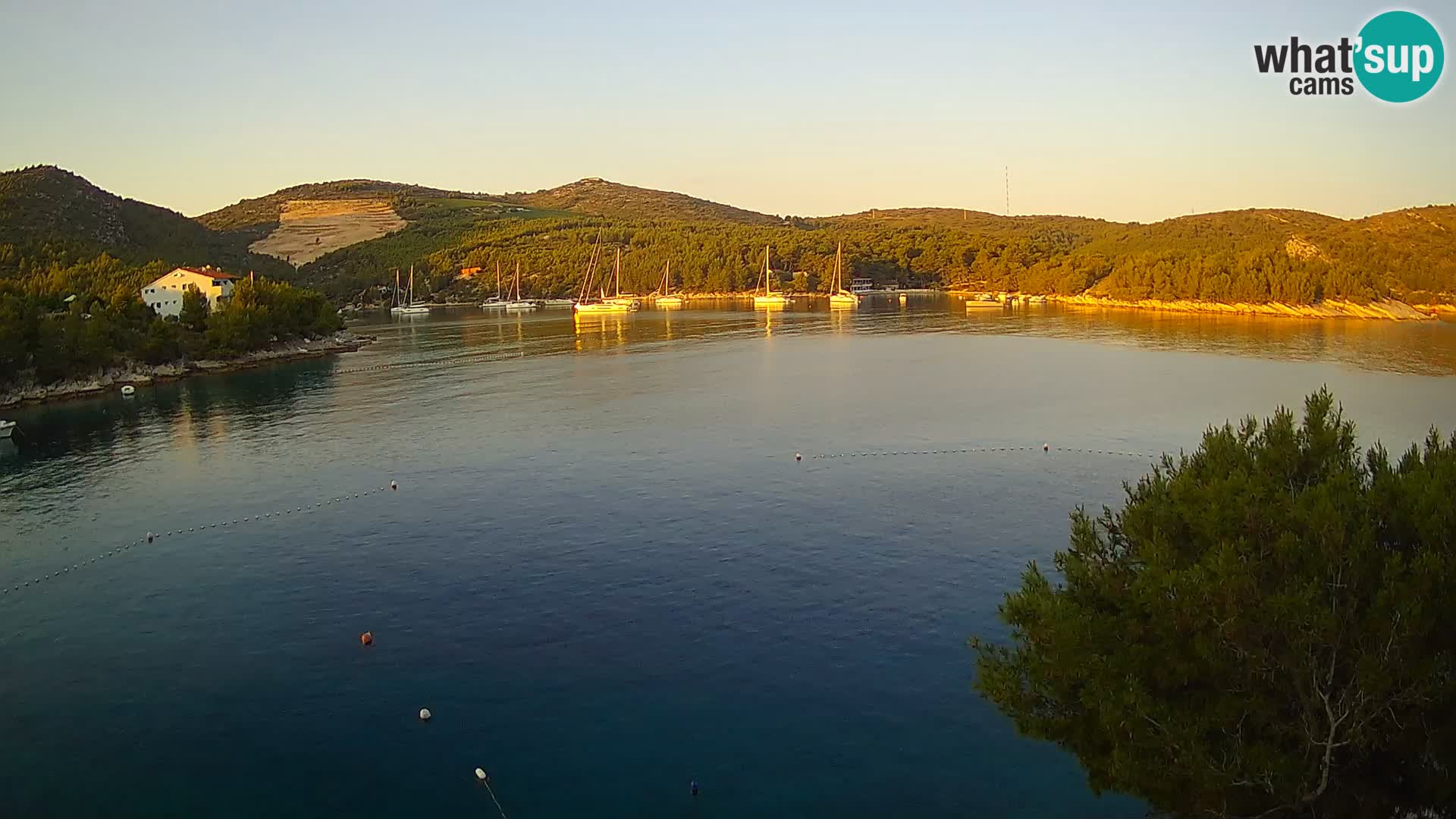 Camera Hvar Vira playa | Isla de Hvar | Dalmacia