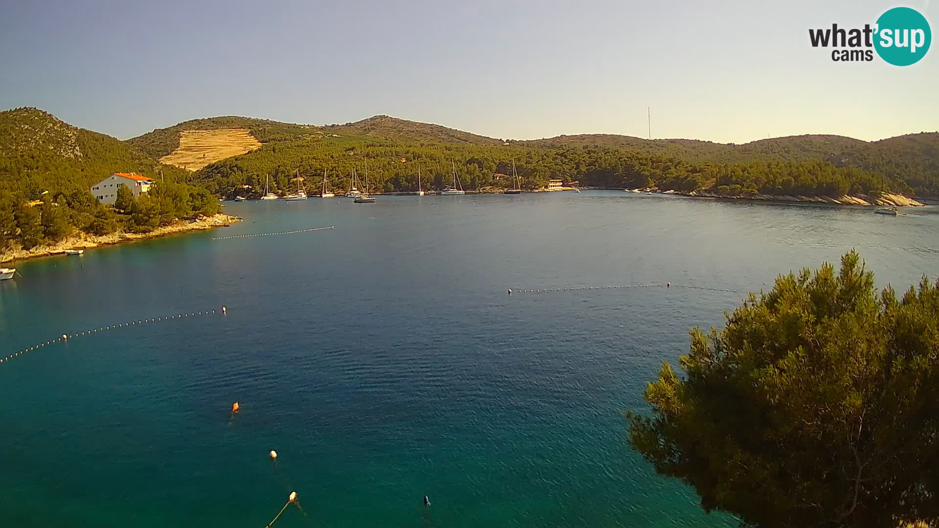 Hvar webcam Vira Strand | Hvar Insel | Dalmatien