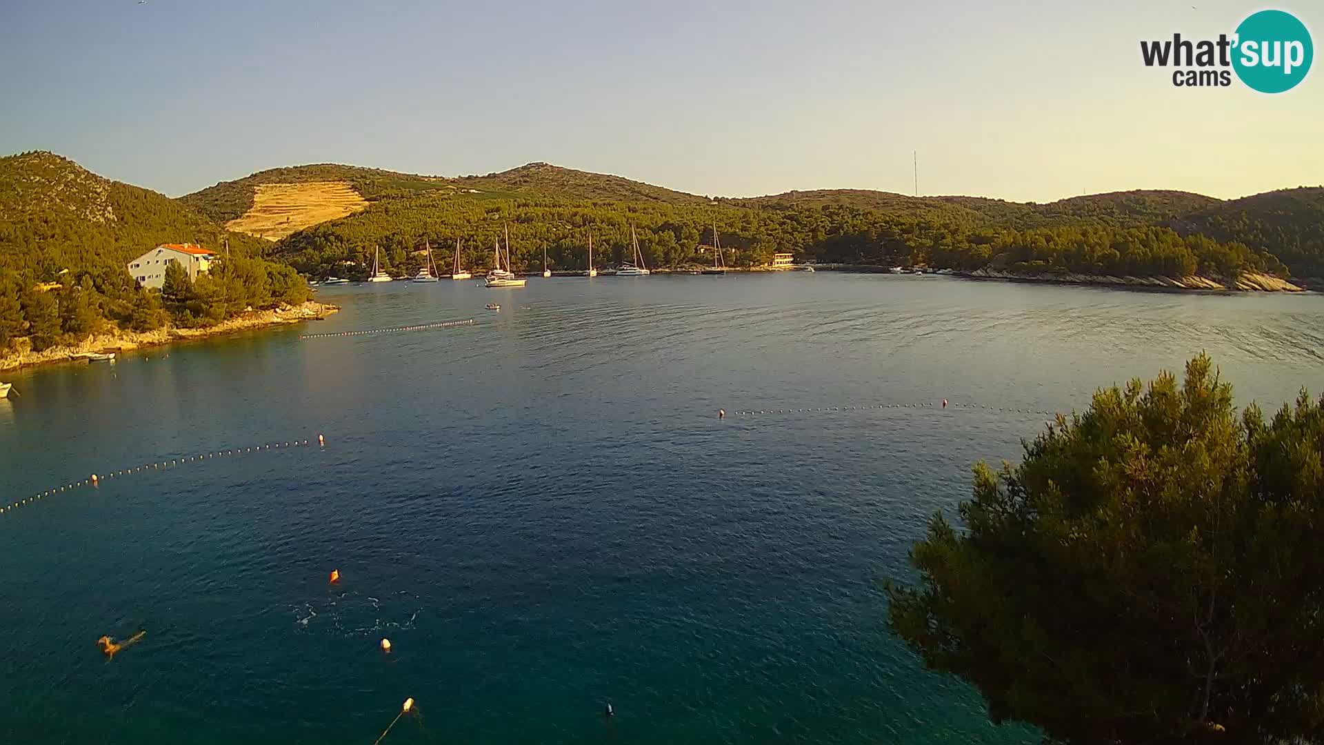 Hvar webcam Vira Strand | Hvar Insel | Dalmatien