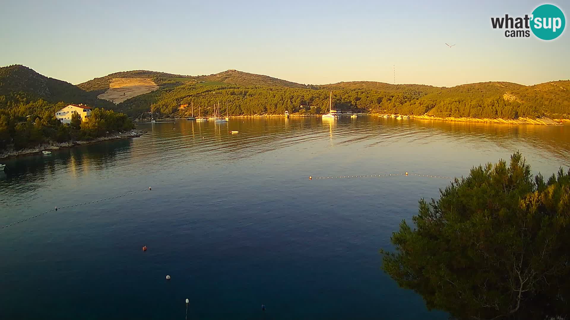 Webcam Hvar Vira beach | Hvar island | Dalmatia