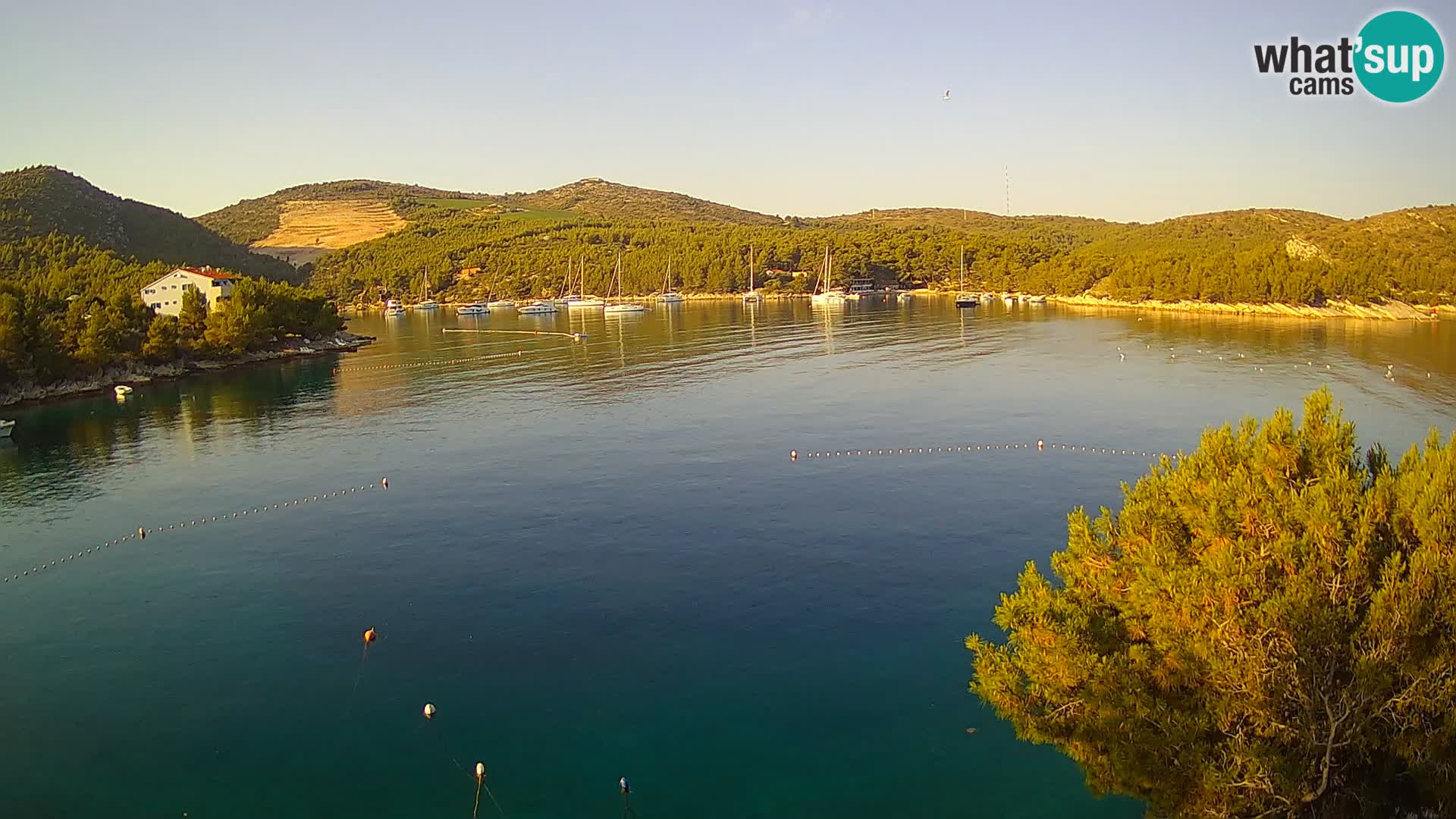Webcam Hvar Vira beach | Hvar island | Dalmatia
