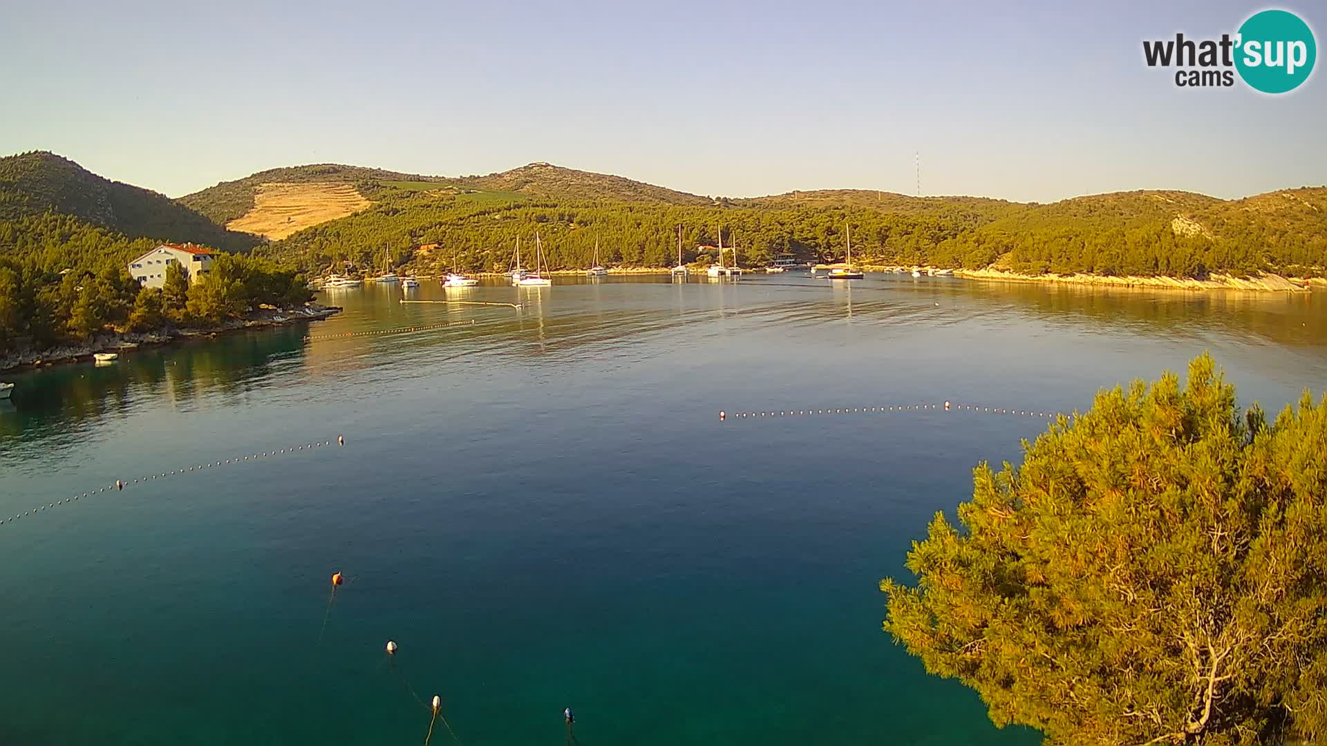 Live cam Hvar Vira plage | Île de Hvar | Dalmatie