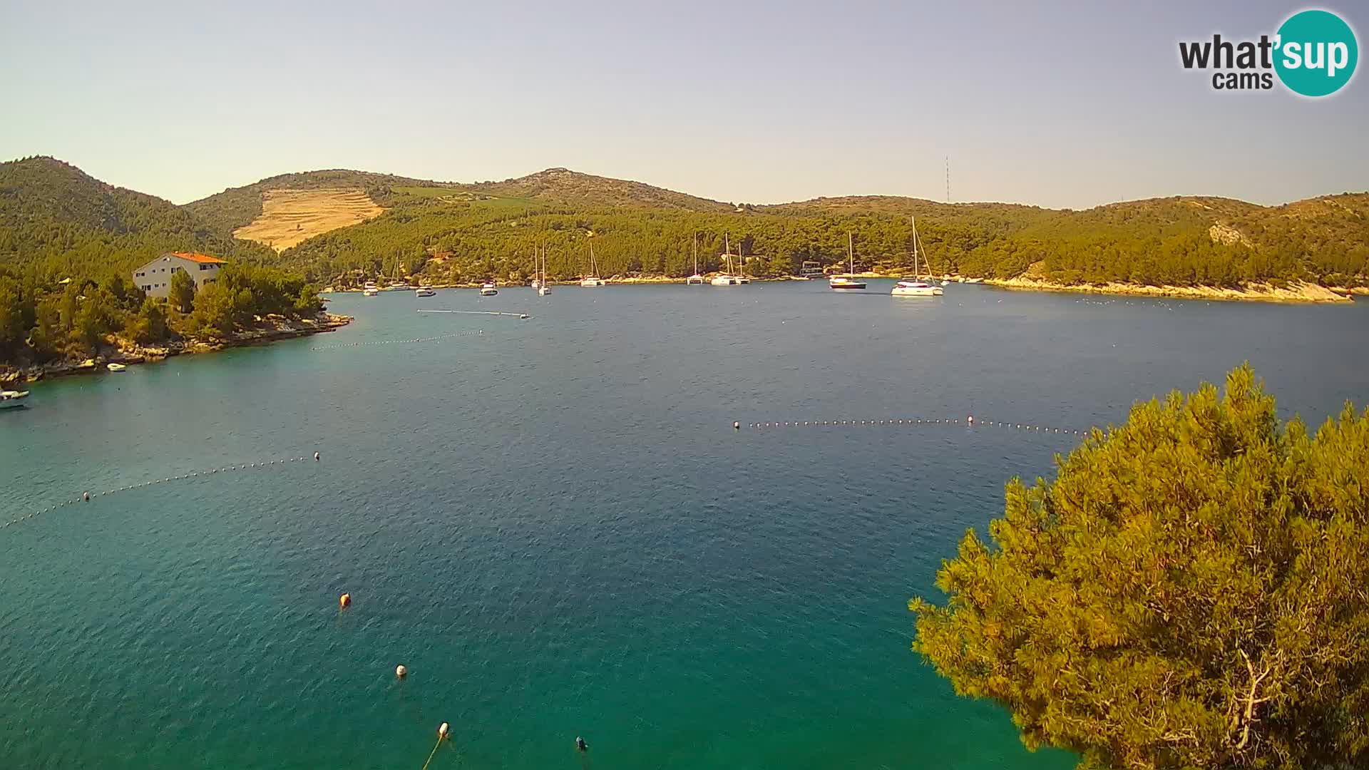 Camera Hvar Vira playa | Isla de Hvar | Dalmacia