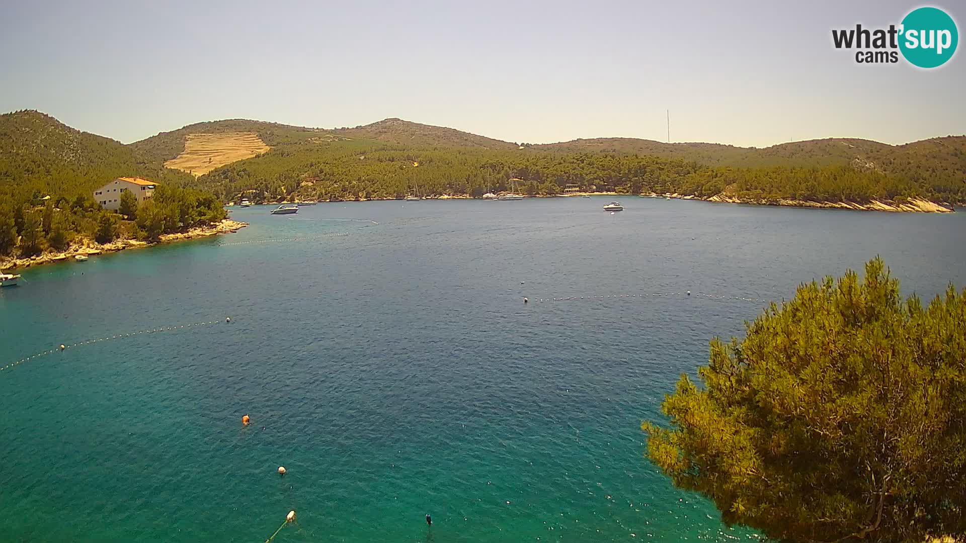 Camera Hvar Vira playa | Isla de Hvar | Dalmacia