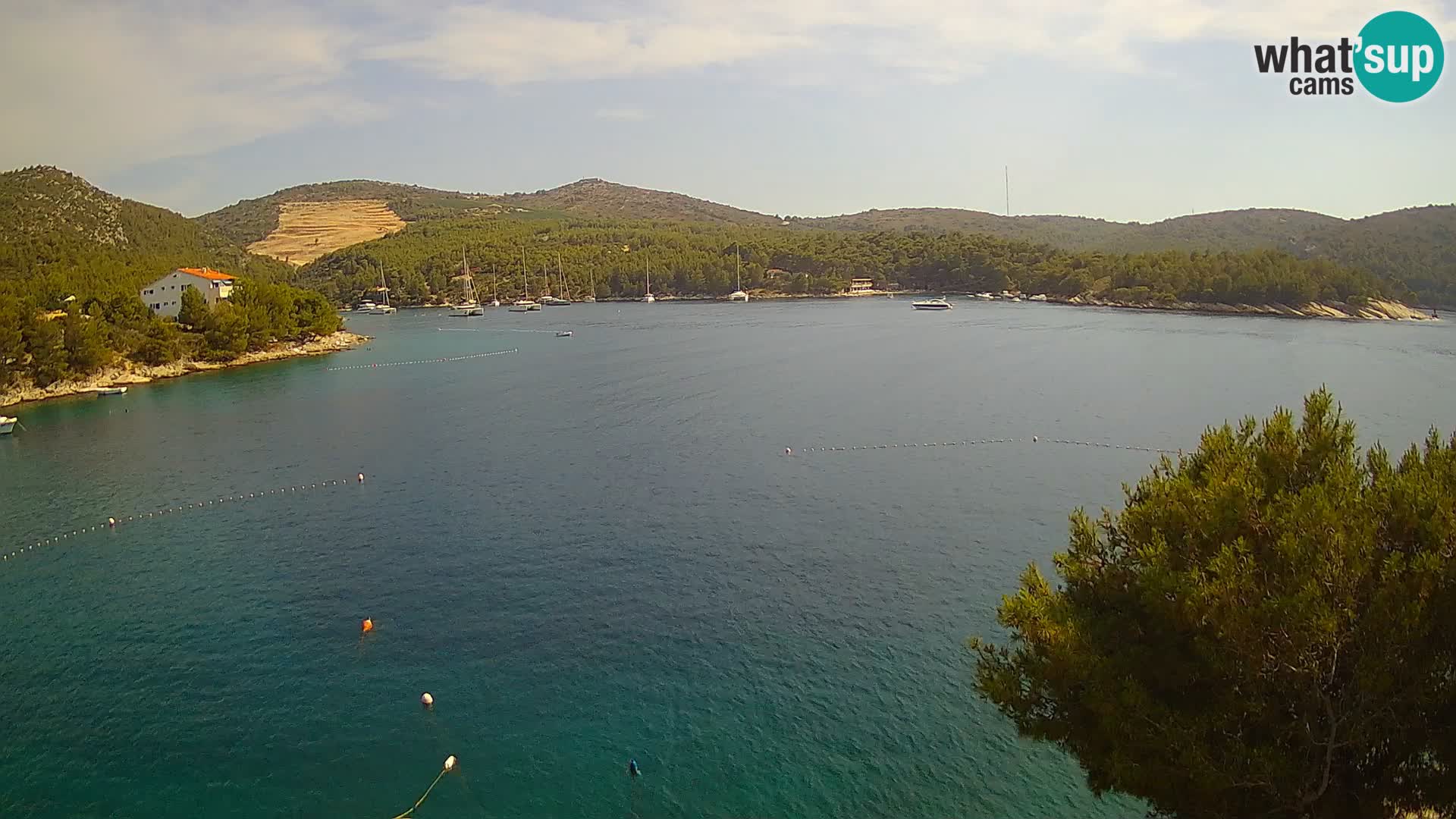 Webcam Hvar Vira beach | Hvar island | Dalmatia