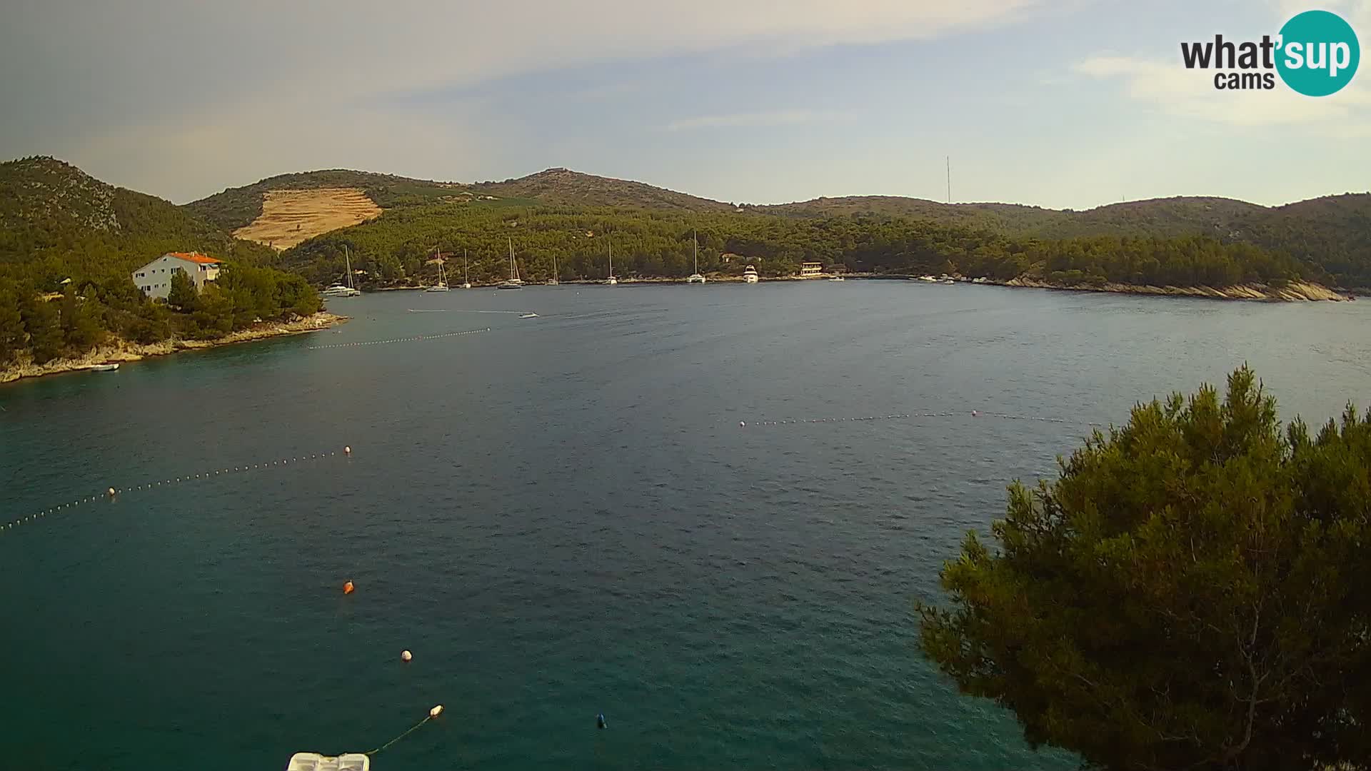 Hvar webcam Vira Strand | Hvar Insel | Dalmatien
