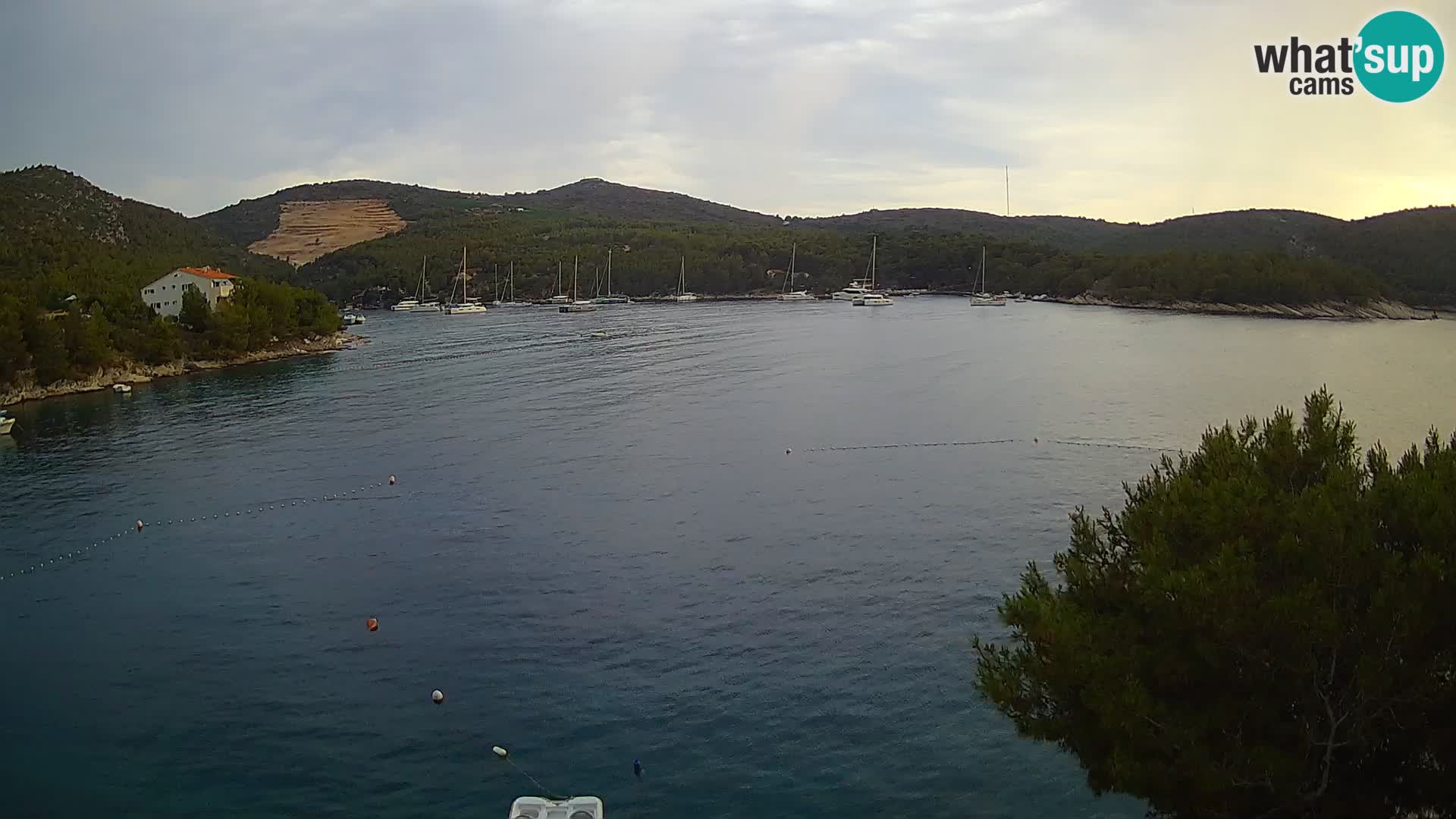 Webcam Hvar Vira beach | Hvar island | Dalmatia