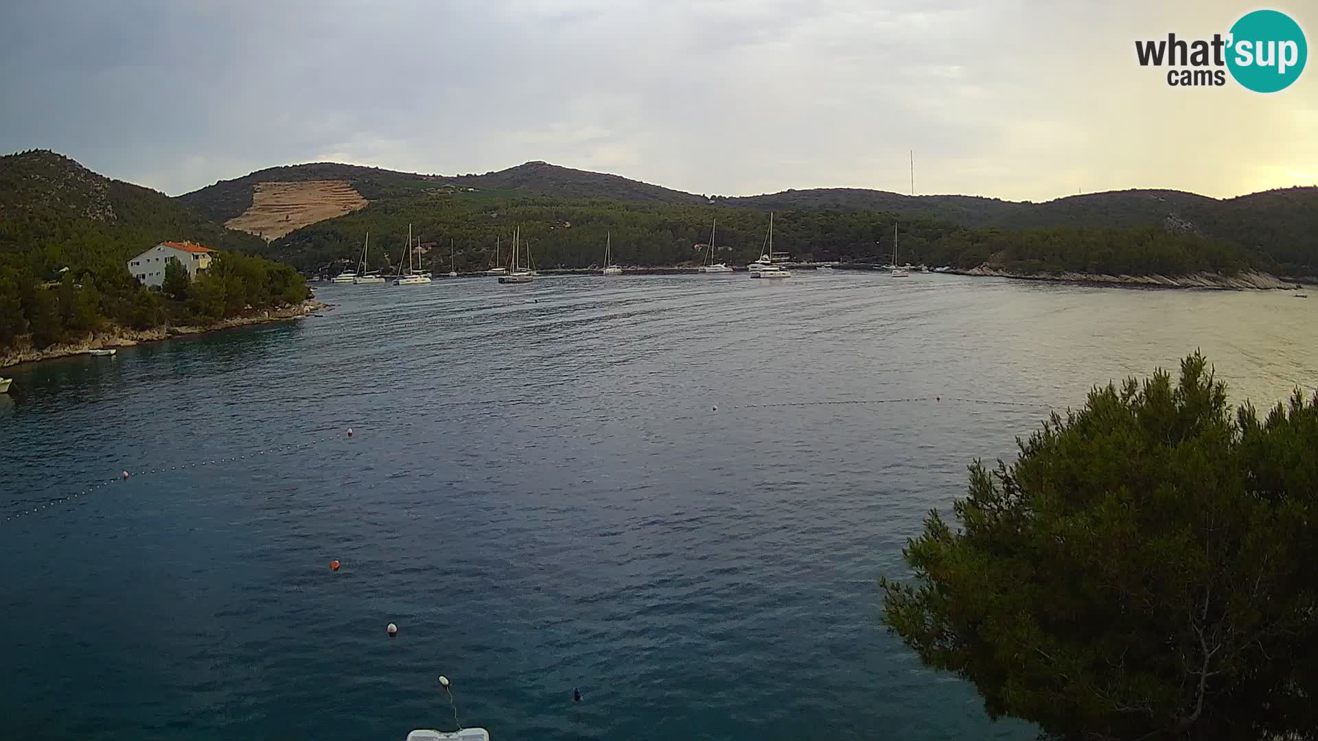 Hvar webcam Vira Strand | Hvar Insel | Dalmatien