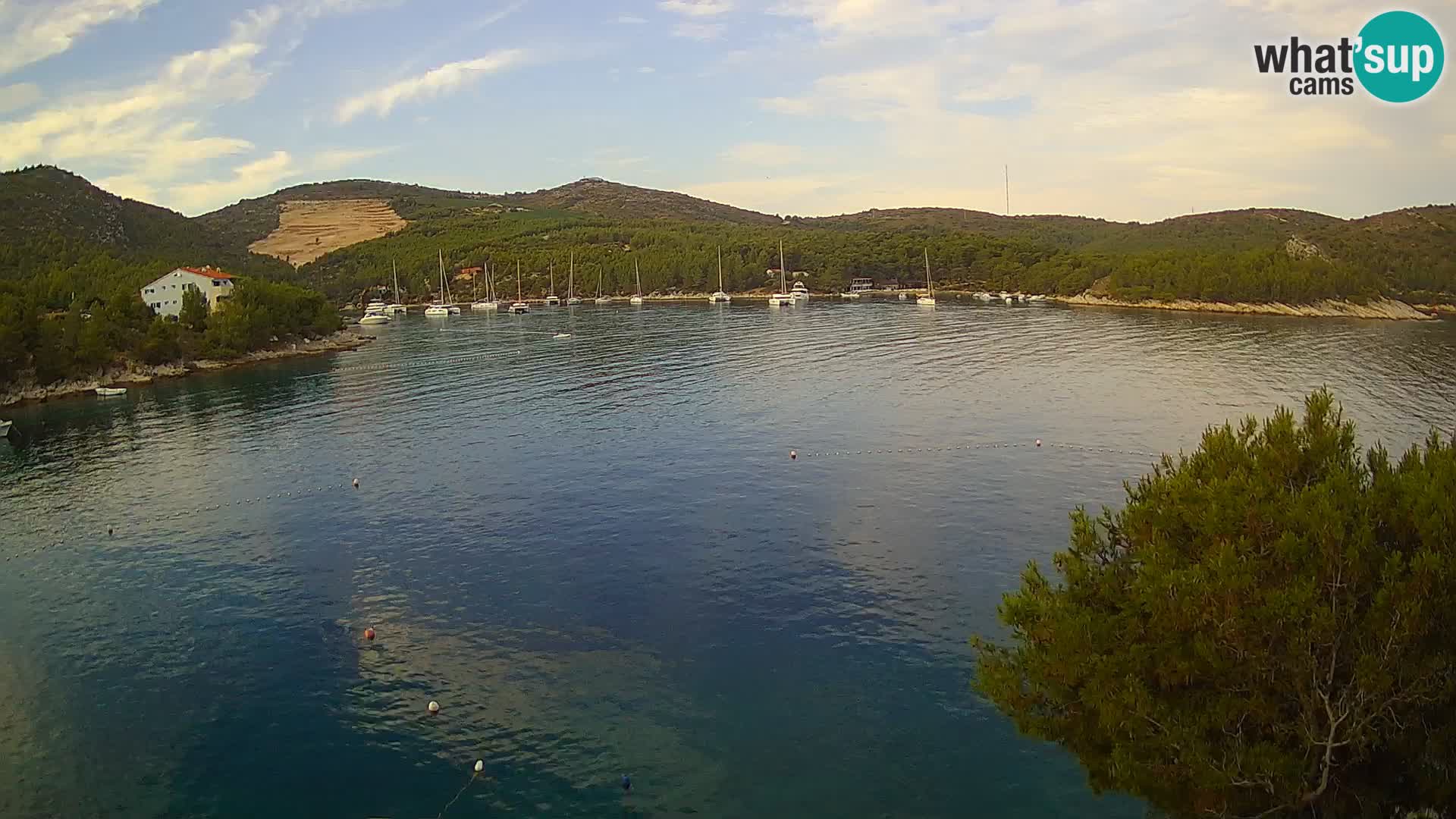 Webcam Hvar Vira beach | Hvar island | Dalmatia