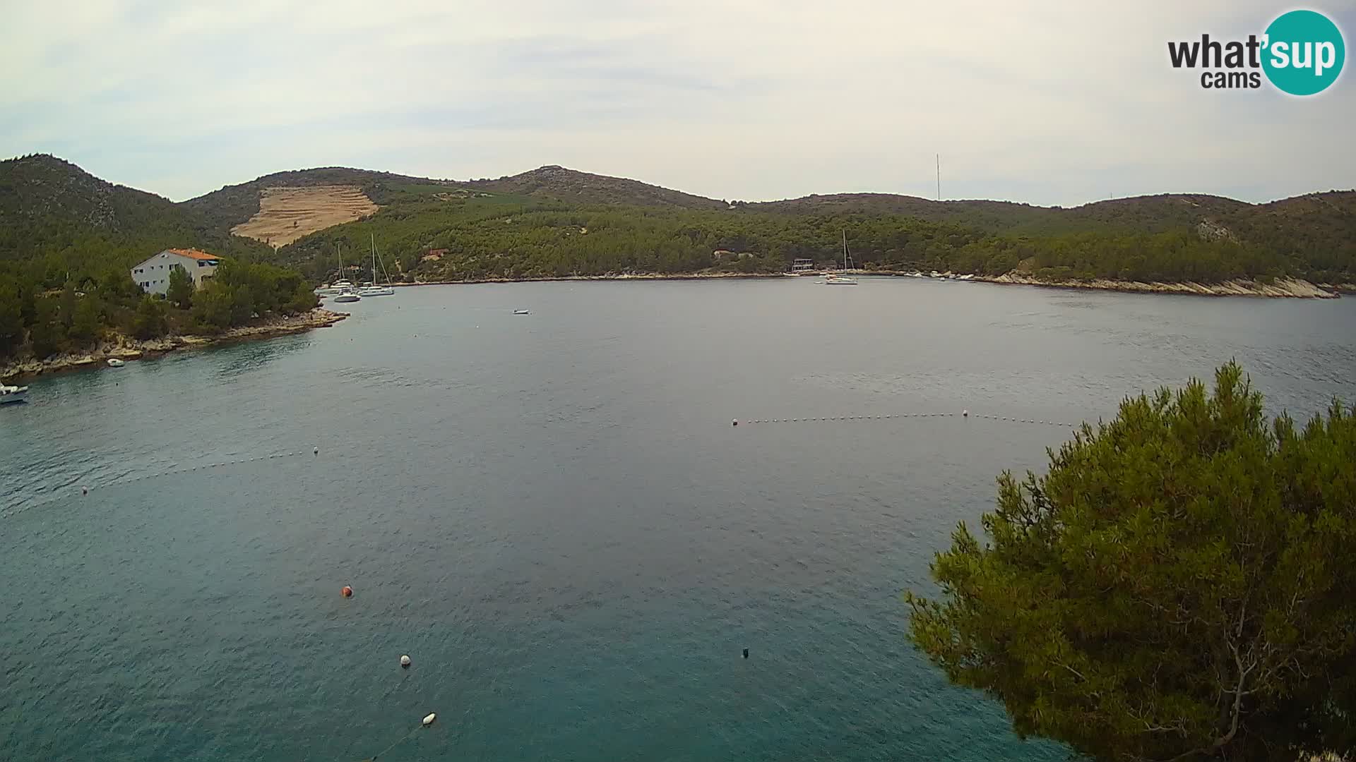 Web kamera Hvar Vira plaža | otok Hvar | Dalmacija