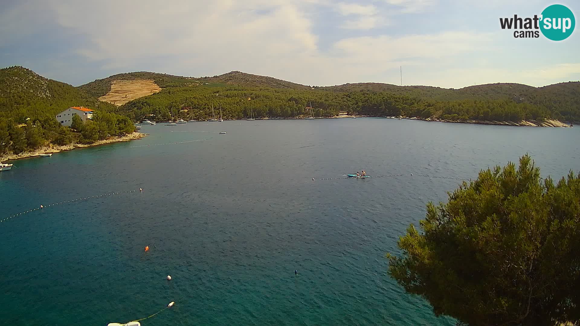 Camera Hvar Vira playa | Isla de Hvar | Dalmacia