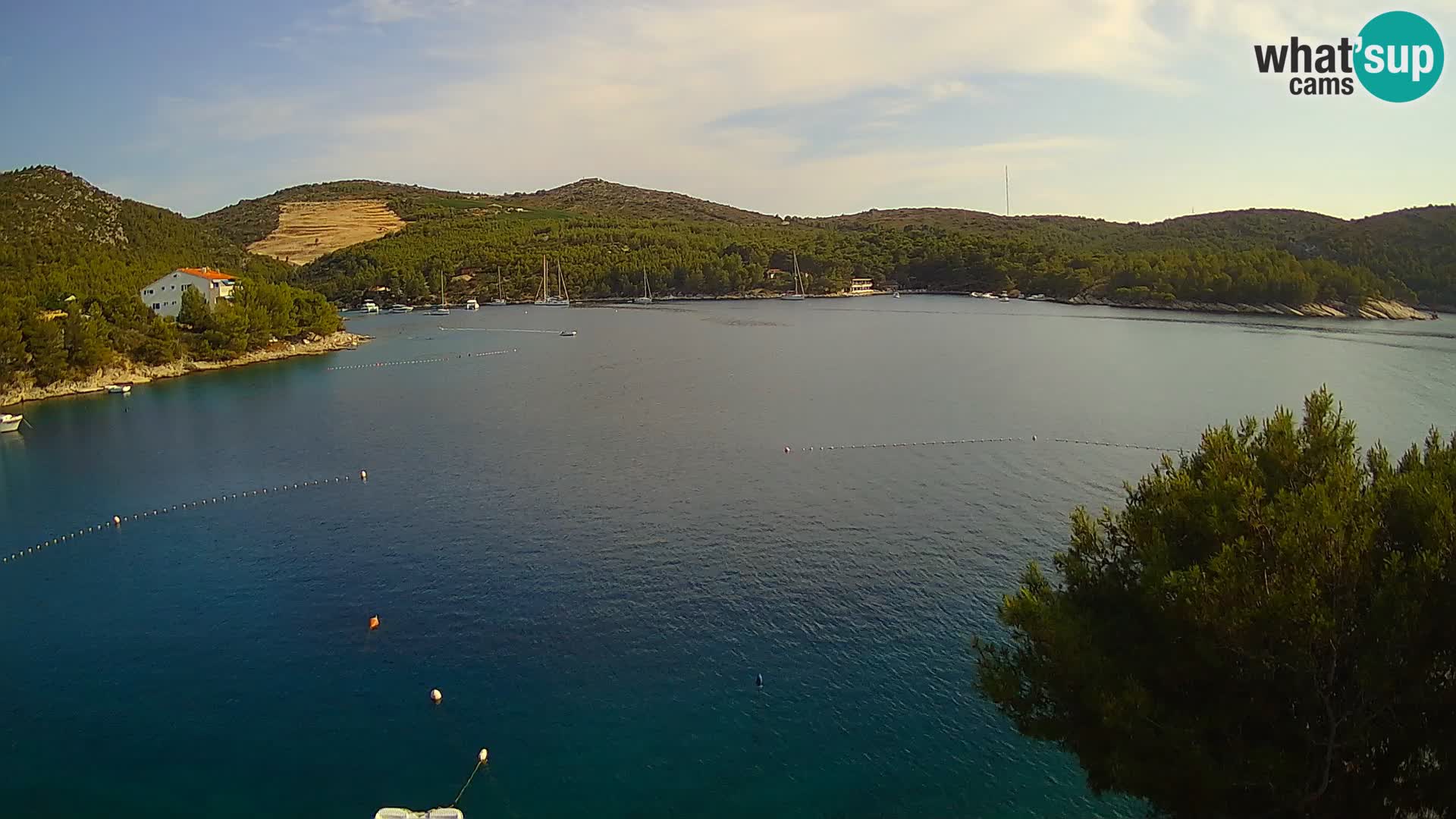 Camera Hvar Vira playa | Isla de Hvar | Dalmacia