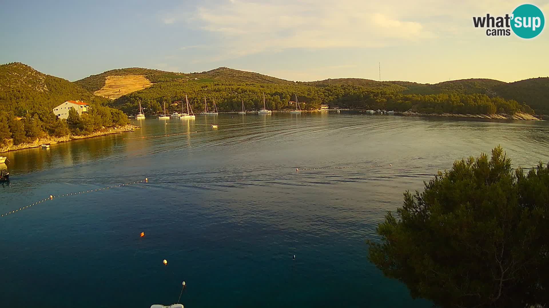 Live cam Hvar Vira plage | Île de Hvar | Dalmatie