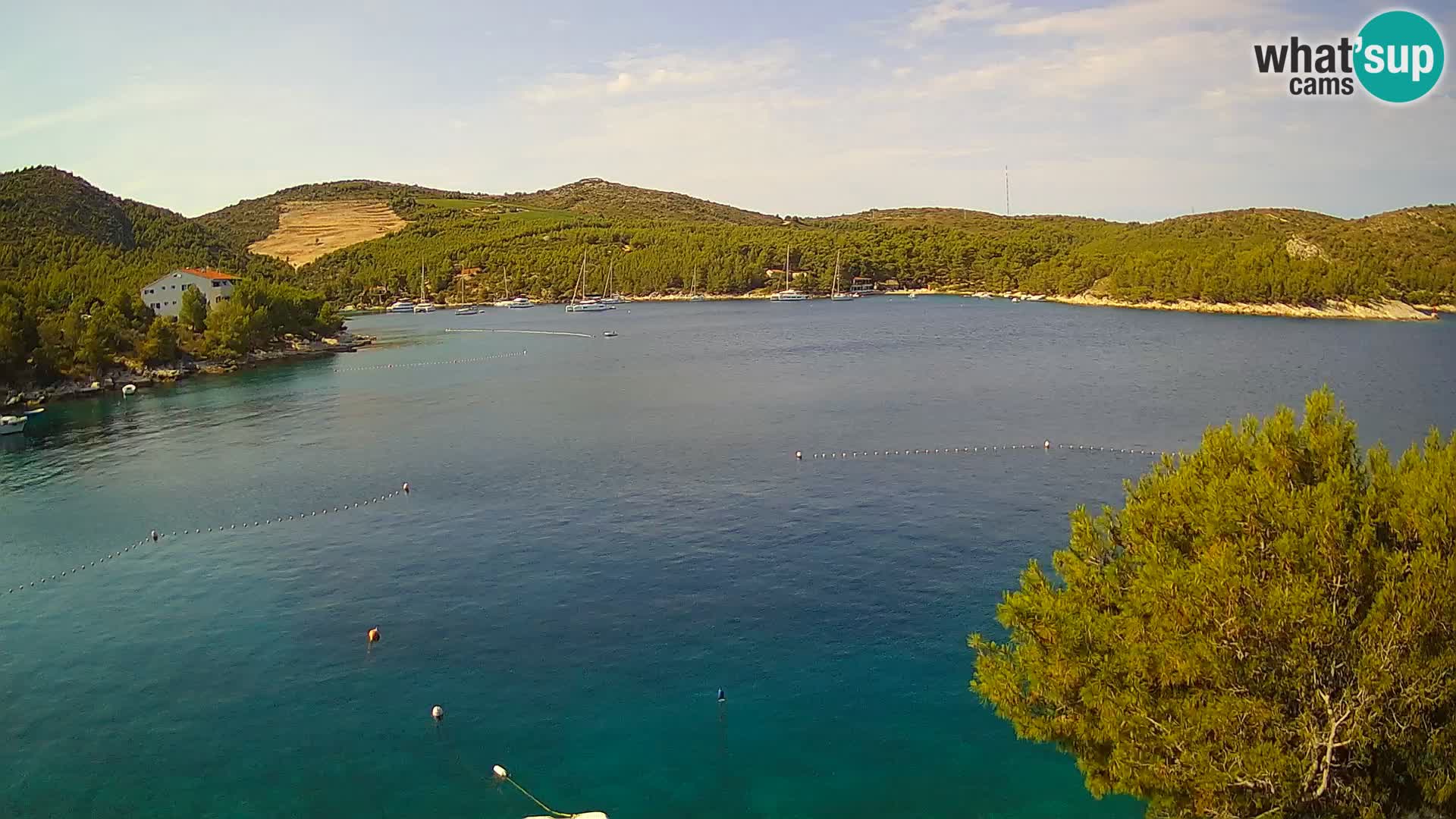 Webcam Hvar Vira beach | Hvar island | Dalmatia