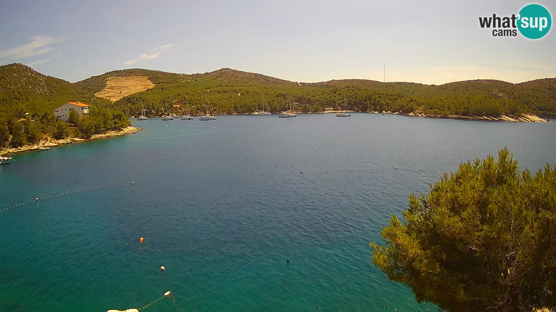 Camera Hvar Vira playa | Isla de Hvar | Dalmacia