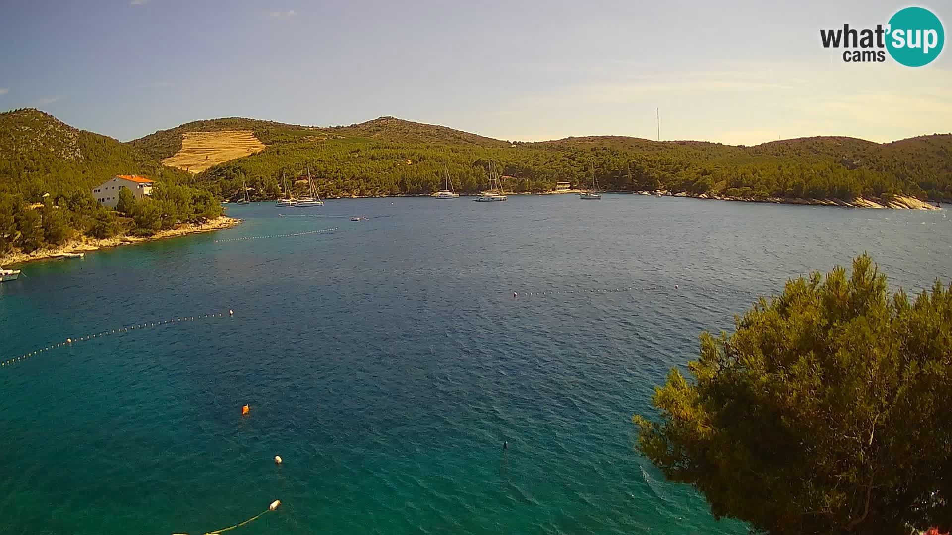 Camera Hvar Vira playa | Isla de Hvar | Dalmacia