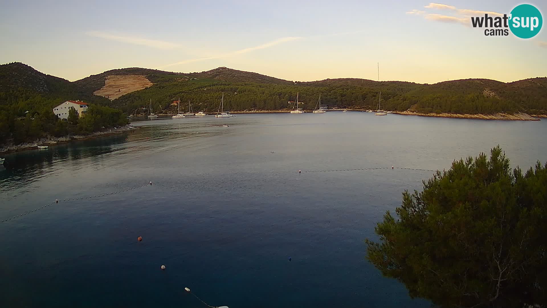 Camera Hvar Vira playa | Isla de Hvar | Dalmacia