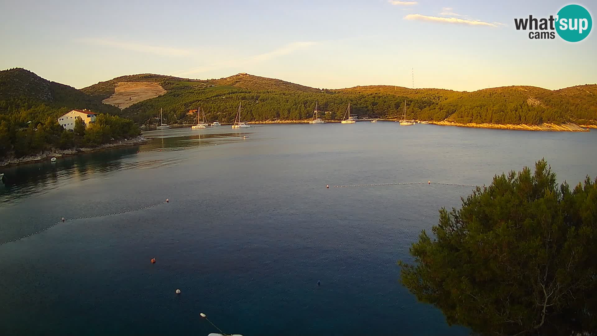 Live cam Hvar Vira plage | Île de Hvar | Dalmatie