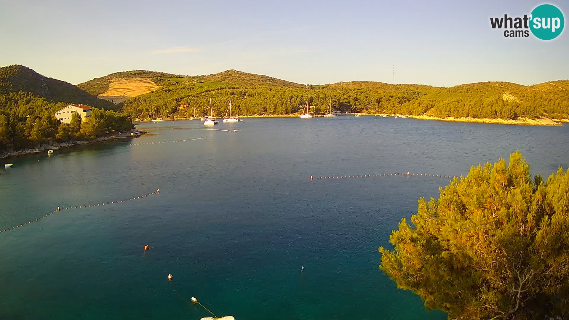 Camera Hvar Vira playa | Isla de Hvar | Dalmacia